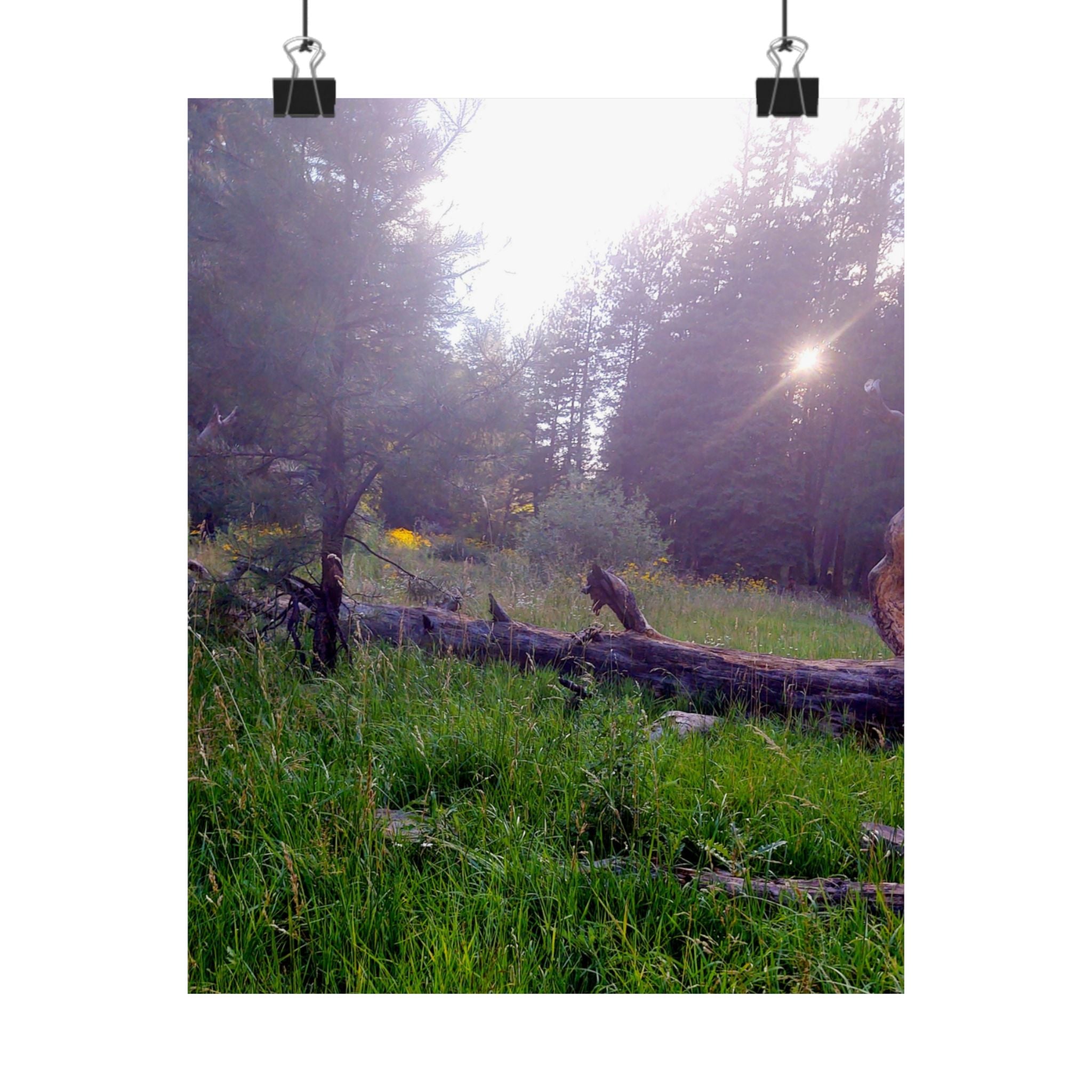 Nature-Inspired Matte Vertical Posters for Home Décor, Unique Wall Art Prints, Botanical Print Collection, Gifts for Nature Lovers, [...]