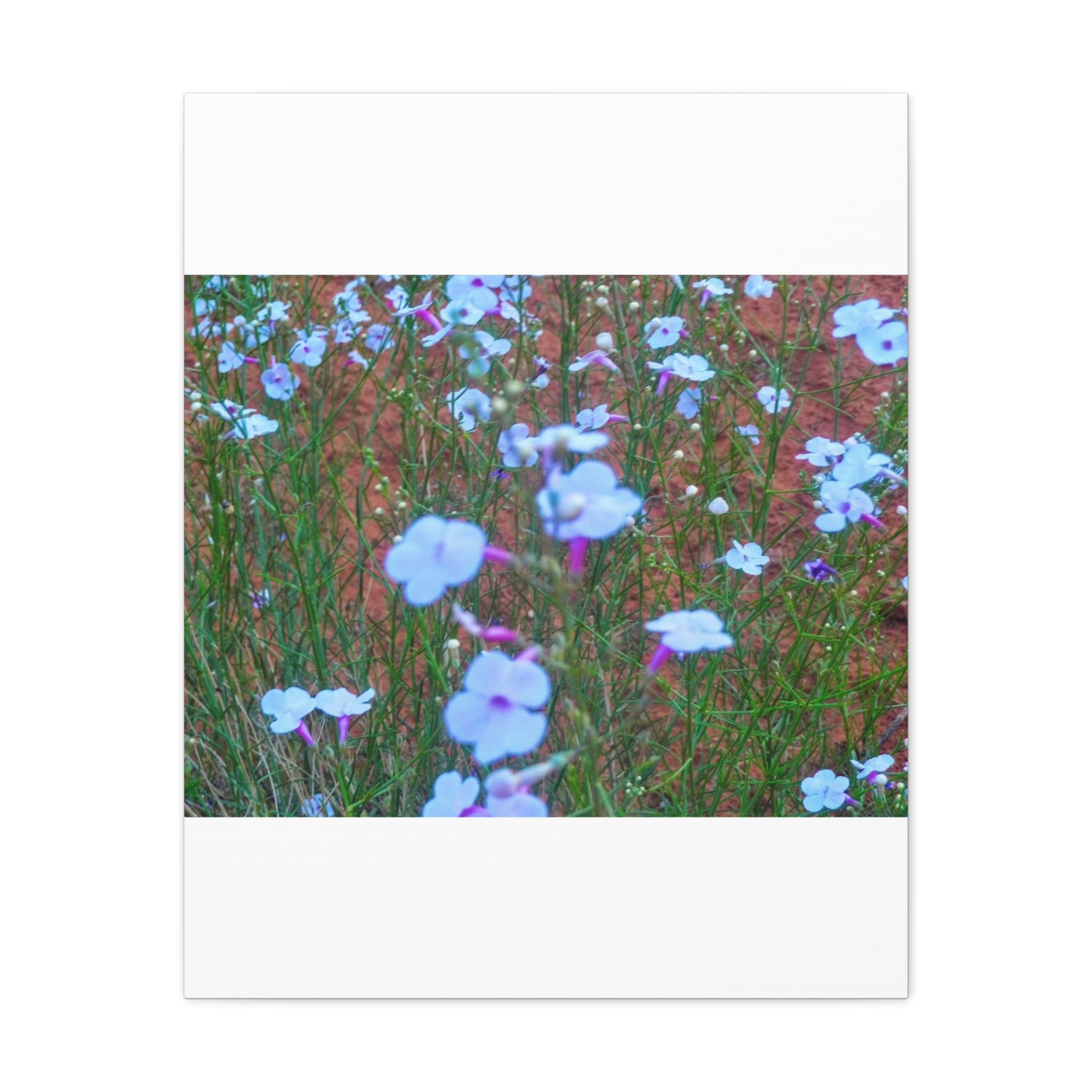 Floral Canvas Wall Art, Home Decor, Wall Hanging, Gift Idea, Nature Art, Flower Print