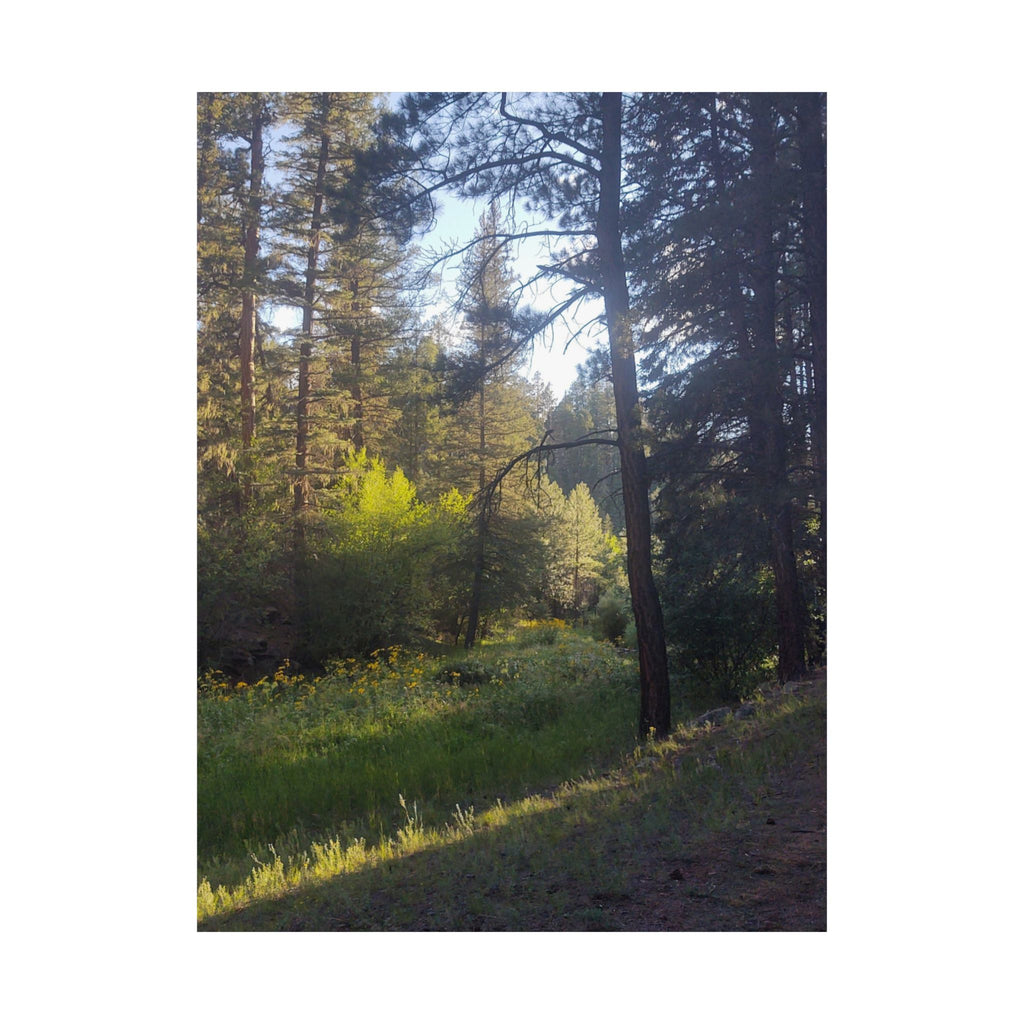 Nature-Inspired Vertical Posters, Scenic Wall Art, Home Décor, Forest Print, Gift for Nature Lovers