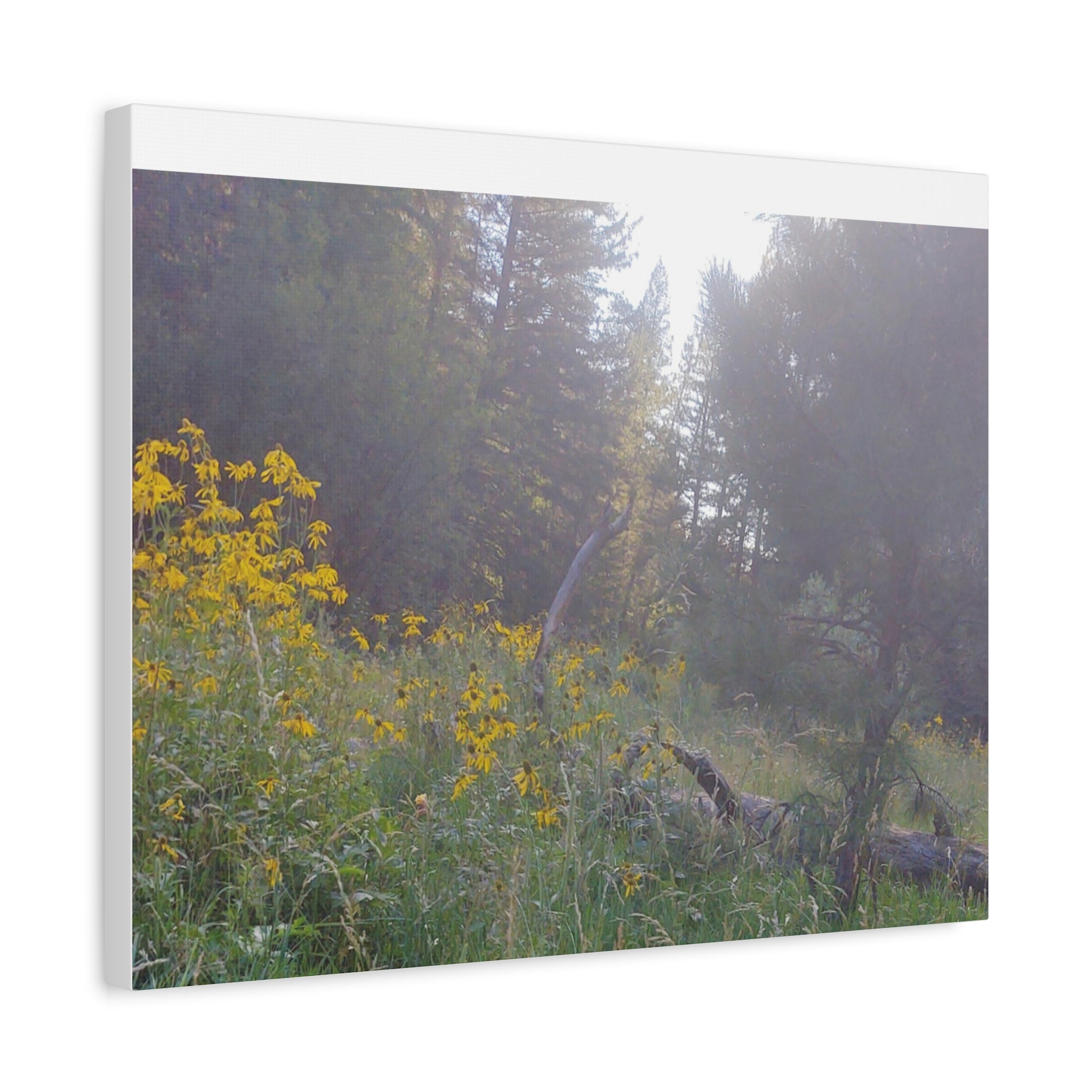 Matte Canvas, Stretched, 1.25"