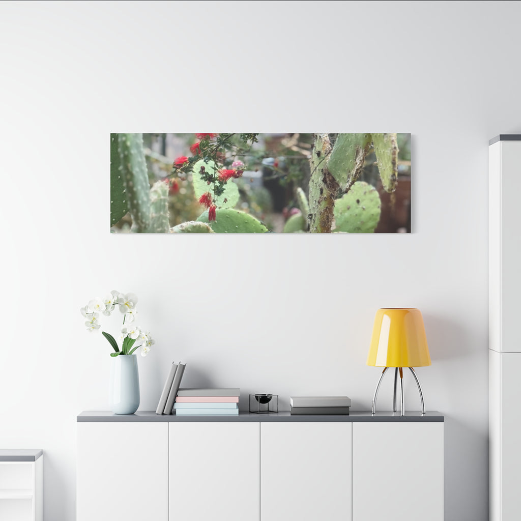 Cactus Artwork Print, Botanical Wall Decor, Succulent Canvas, Nature Lover Gift, Home Decoration