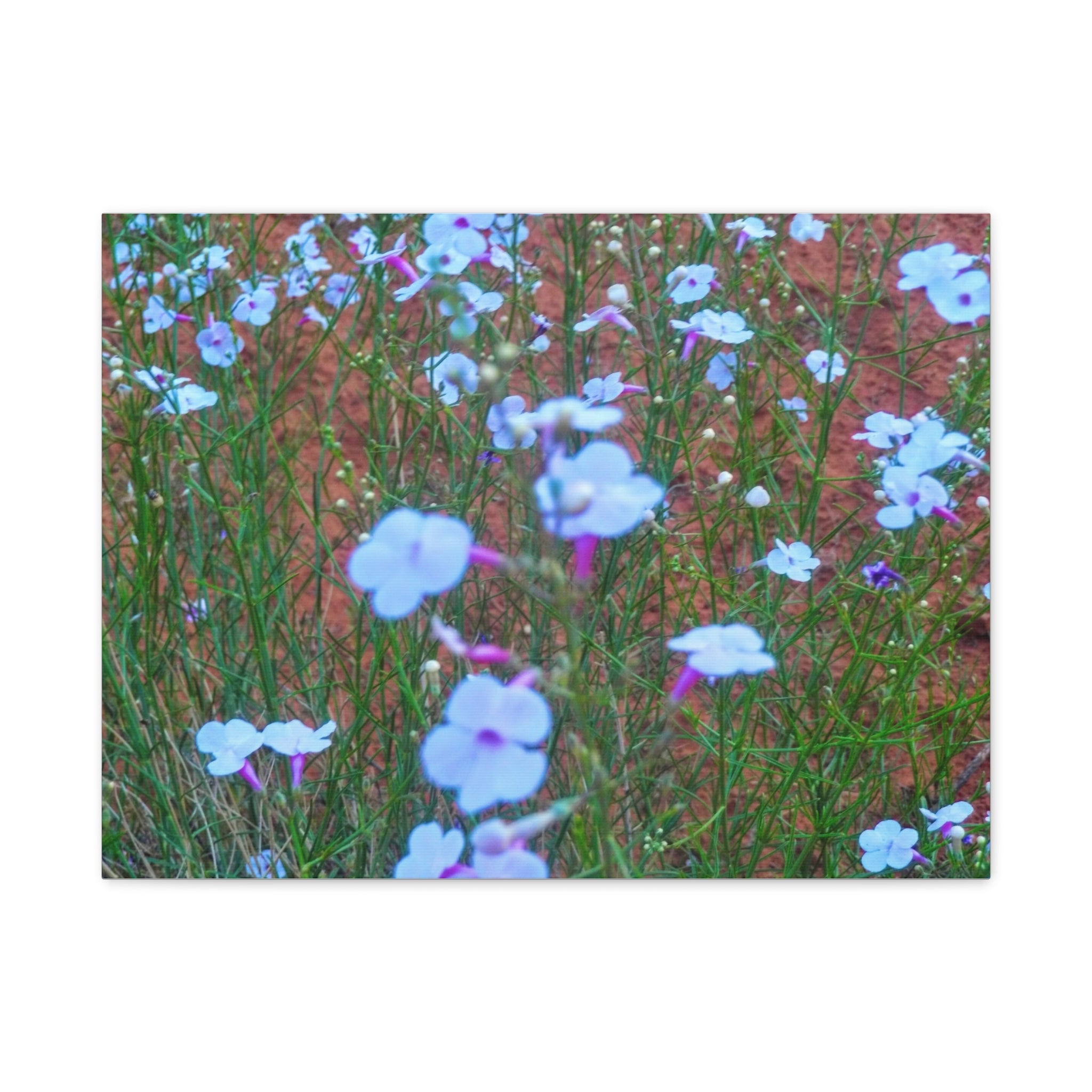 Floral Canvas Wall Art, Home Decor, Wall Hanging, Gift Idea, Nature Art, Flower Print