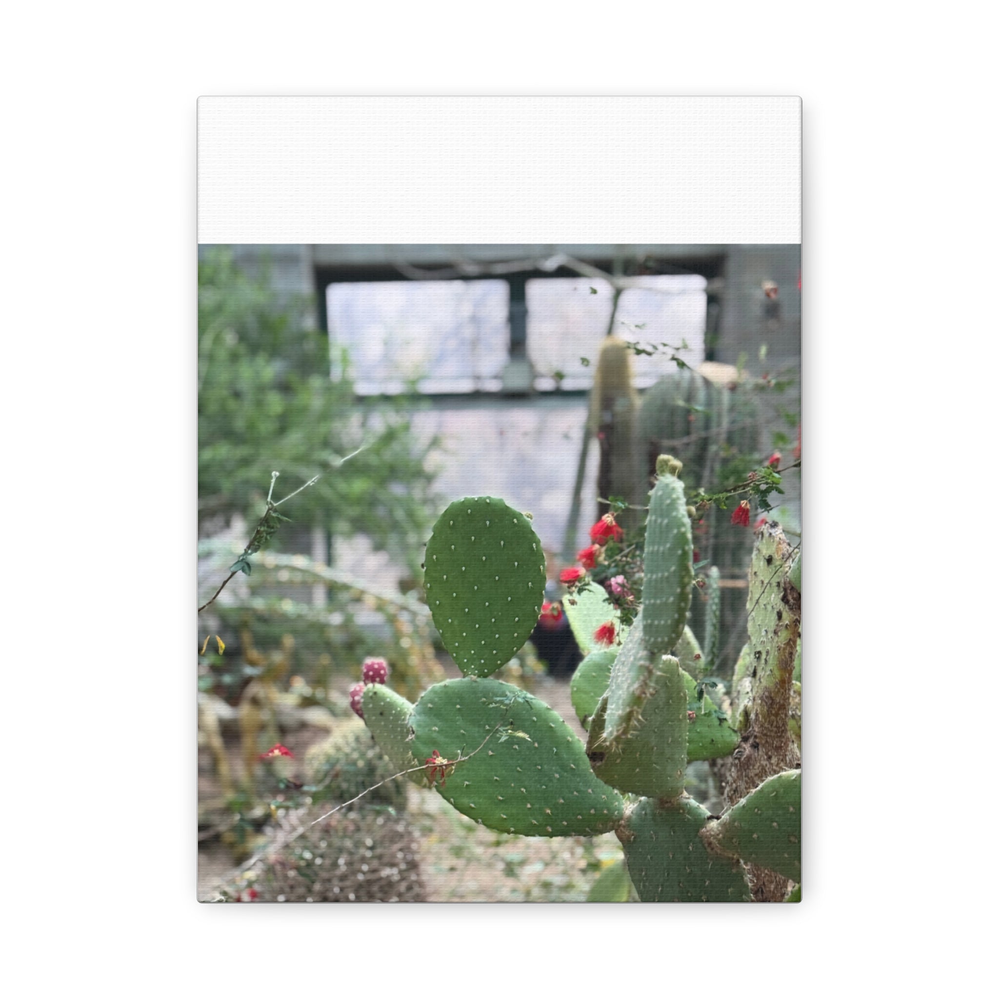 Cactus Matte Canvas Wall Art, Nature Decor, Southwestern Room Design, Green Plant Prints, Home and Office Wall Decor