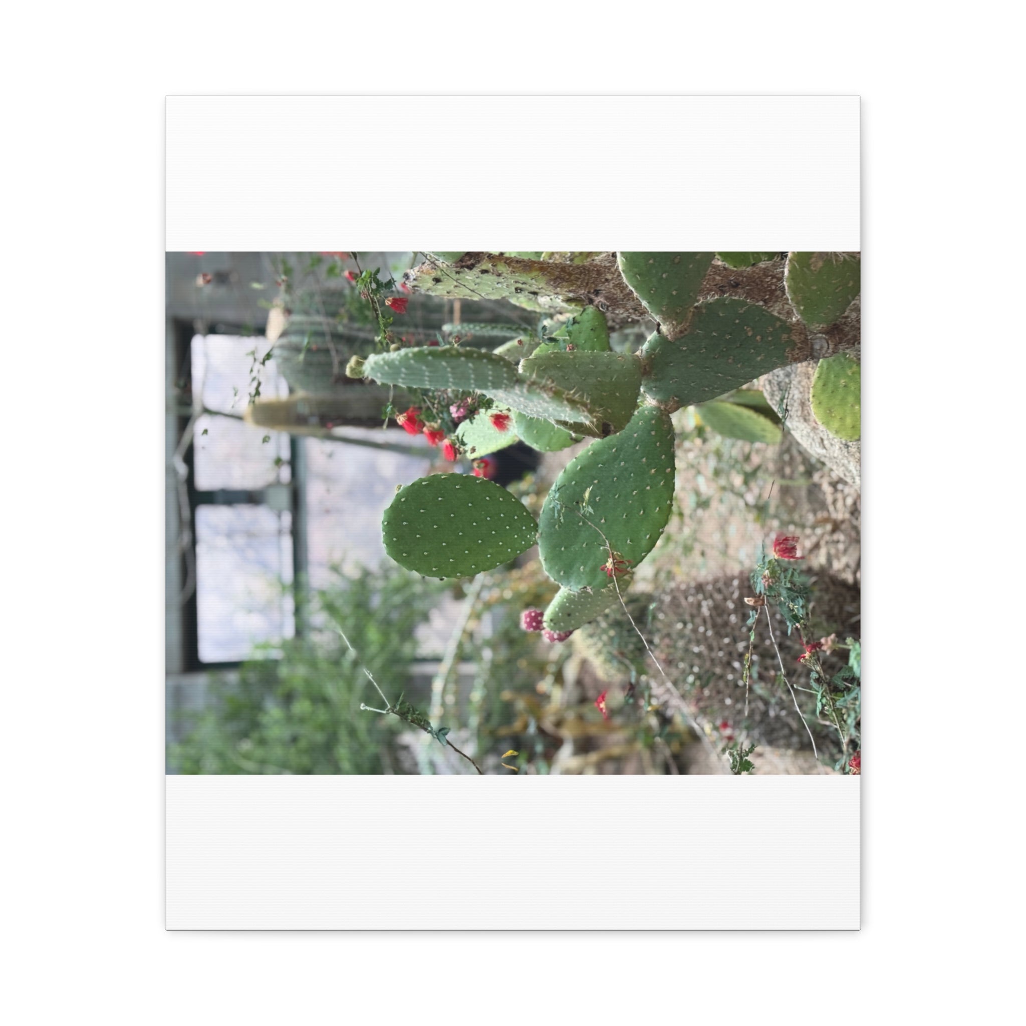 Cactus Wall Art Canvas Print, Nature Décor for Home, Office, Gift for Cactus Lovers, Unique Plant Themed Artwork, Desert Vibe Decor