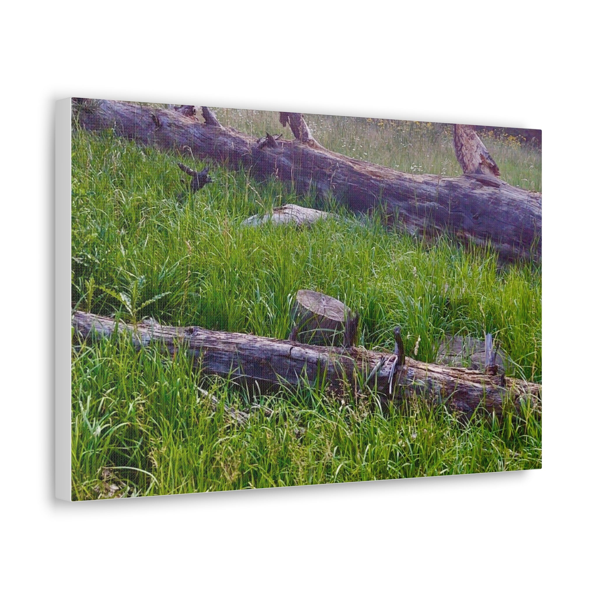 Classic Canvas Wall Art - Nature Decor, Outdoor Wall Hanging, Home Aesthetic, Gift for Nature Lovers, Rustic Cabin Decor