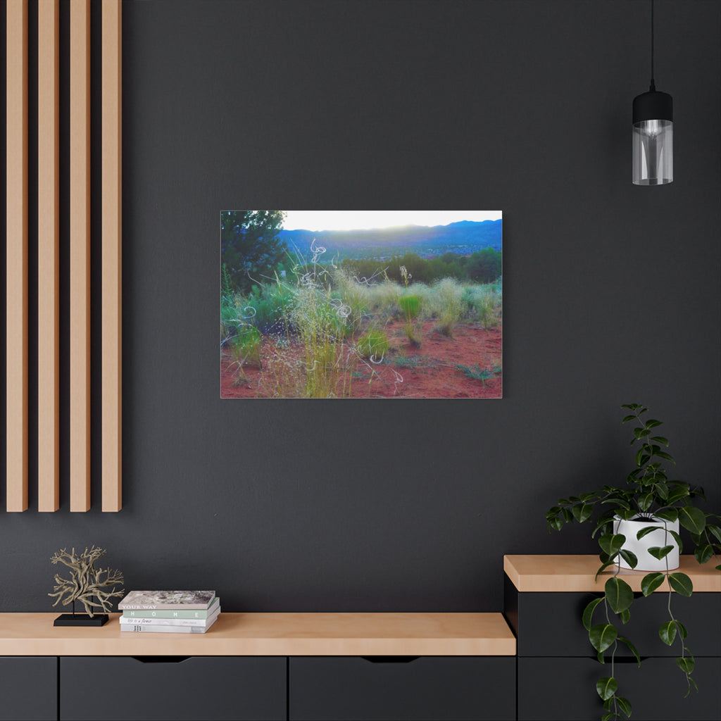 Stretched Canvas Art Print, Nature Wall Decor, Boho Home Decor, Rustic Landscape Art, Gift for Nature Lovers