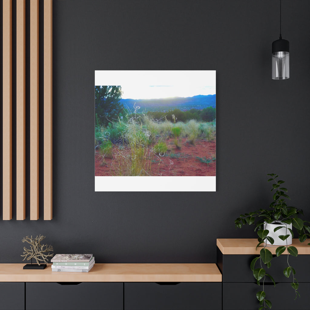 Stretched Canvas Art Print, Nature Wall Decor, Boho Home Decor, Rustic Landscape Art, Gift for Nature Lovers