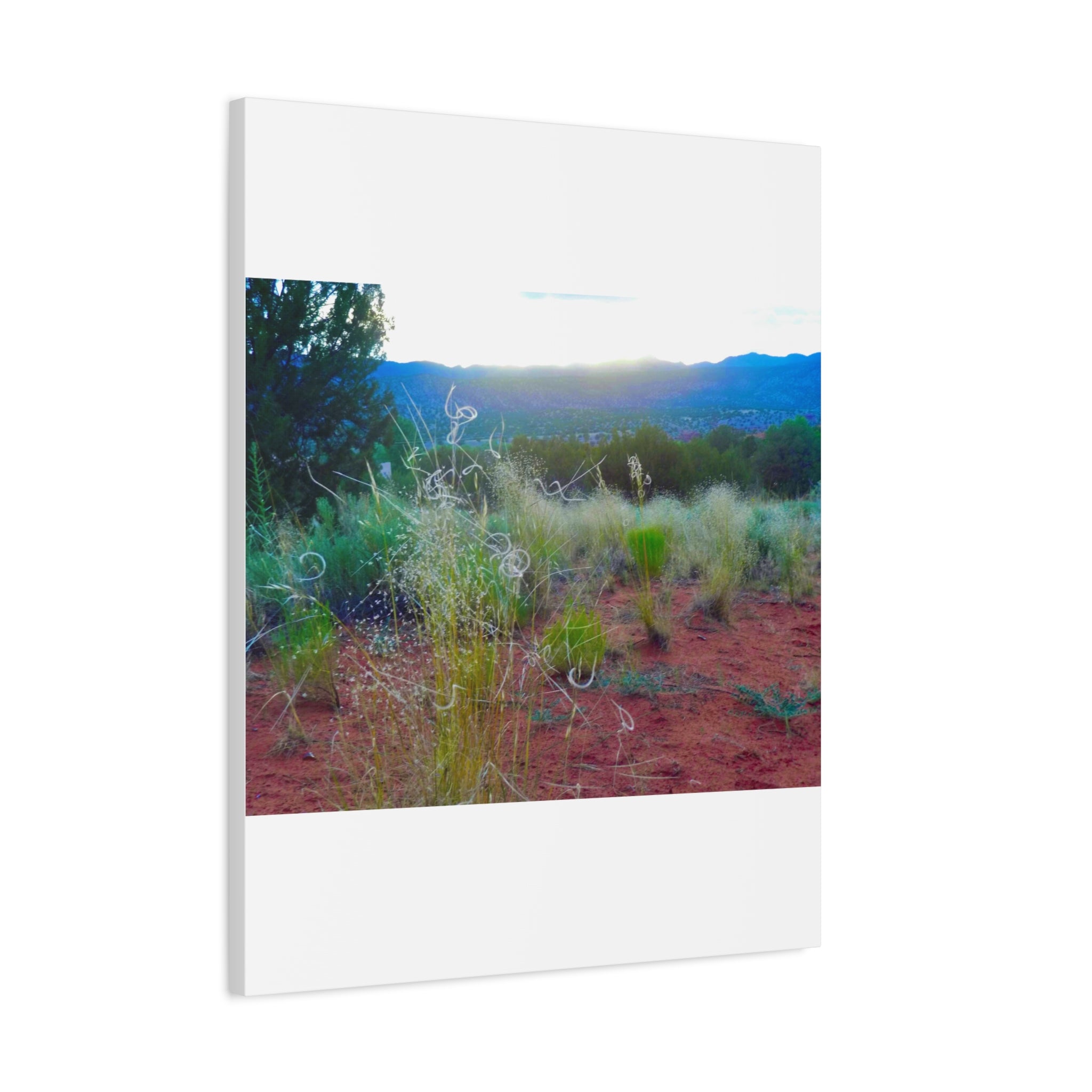 Stretched Canvas Art Print, Nature Wall Decor, Boho Home Decor, Rustic Landscape Art, Gift for Nature Lovers