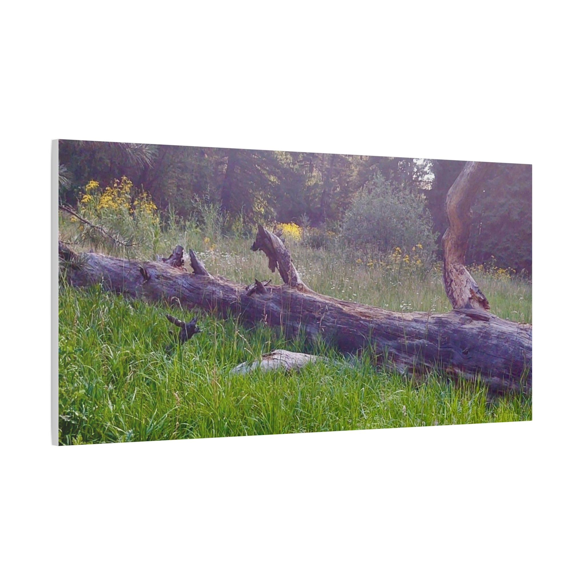 Matte Canvas Wall Art - Serene Nature Scene, Perfect for Home Decor, Gift for Nature Lovers, Office Wall Decoration, Rustic Art Print