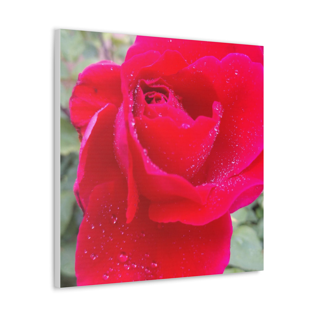 Stunning Floral Canvas Print, Home Decor, Wall Art, Gift for Flower Lovers, Red Rose Art, Mother's Day Gift