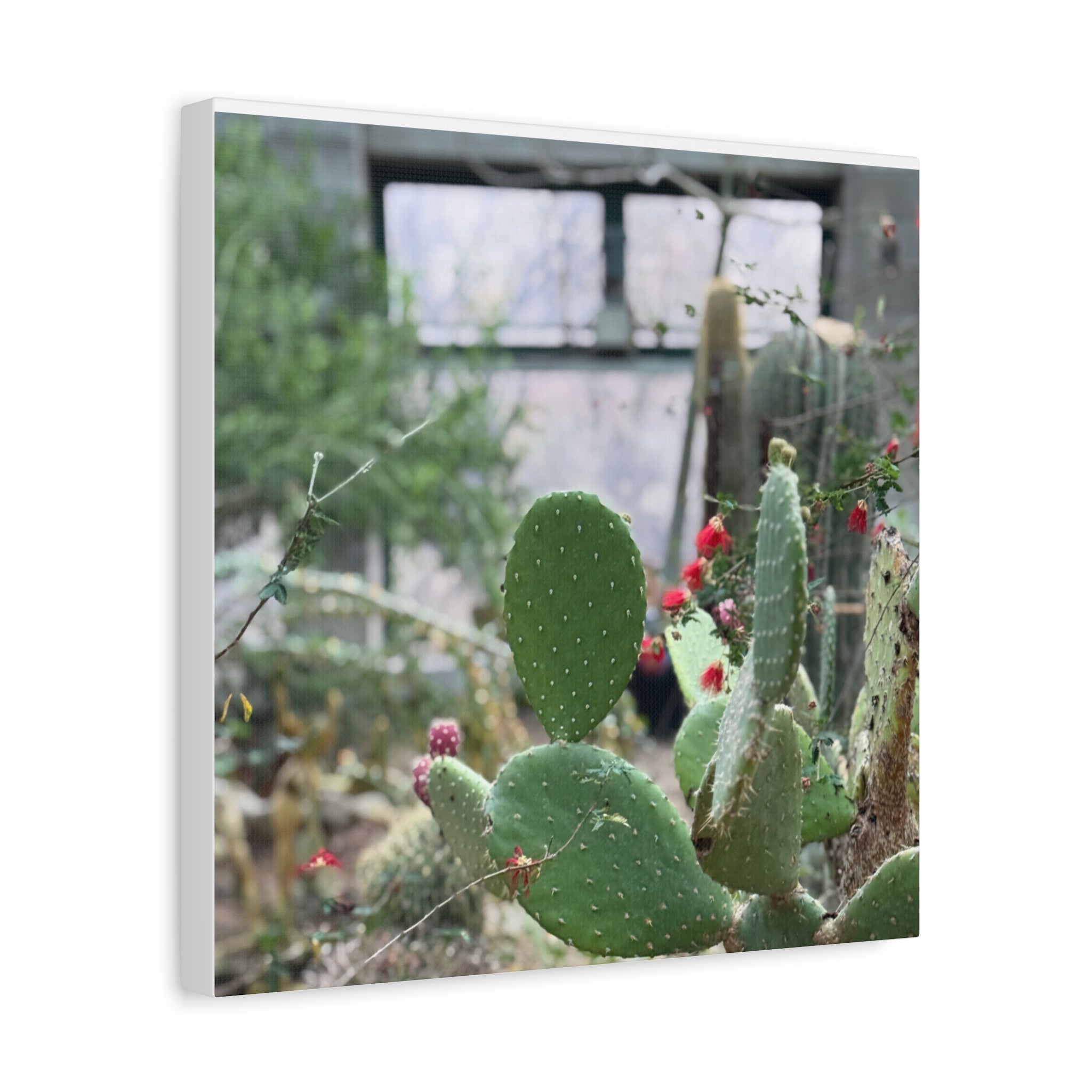 Cactus Matte Canvas Wall Art, Nature Decor, Southwestern Room Design, Green Plant Prints, Home and Office Wall Decor