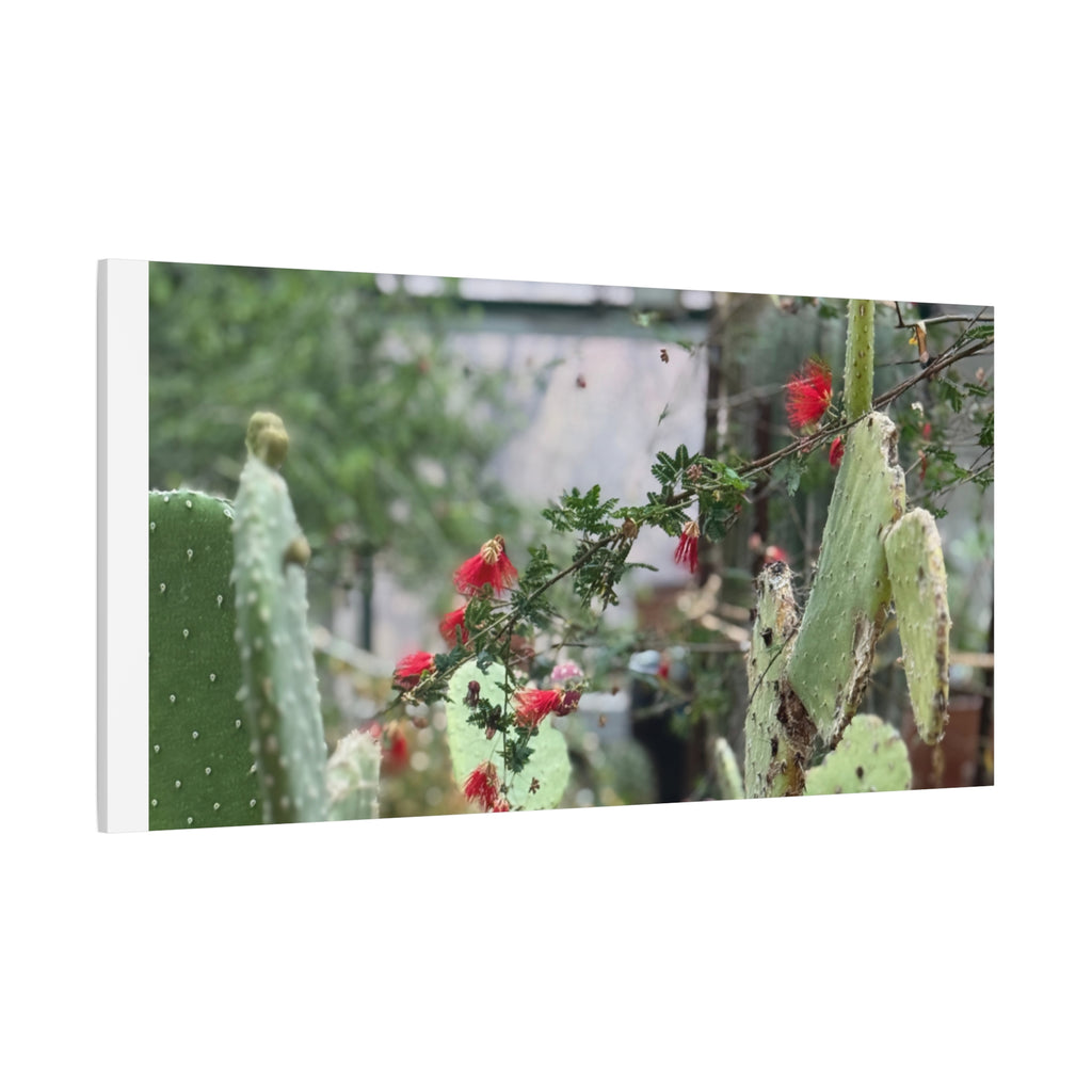 Cactus Wall Art Print, Nature Home Decor, Bohemian Style Artwork, Botanical Gift, Succulent Canvas