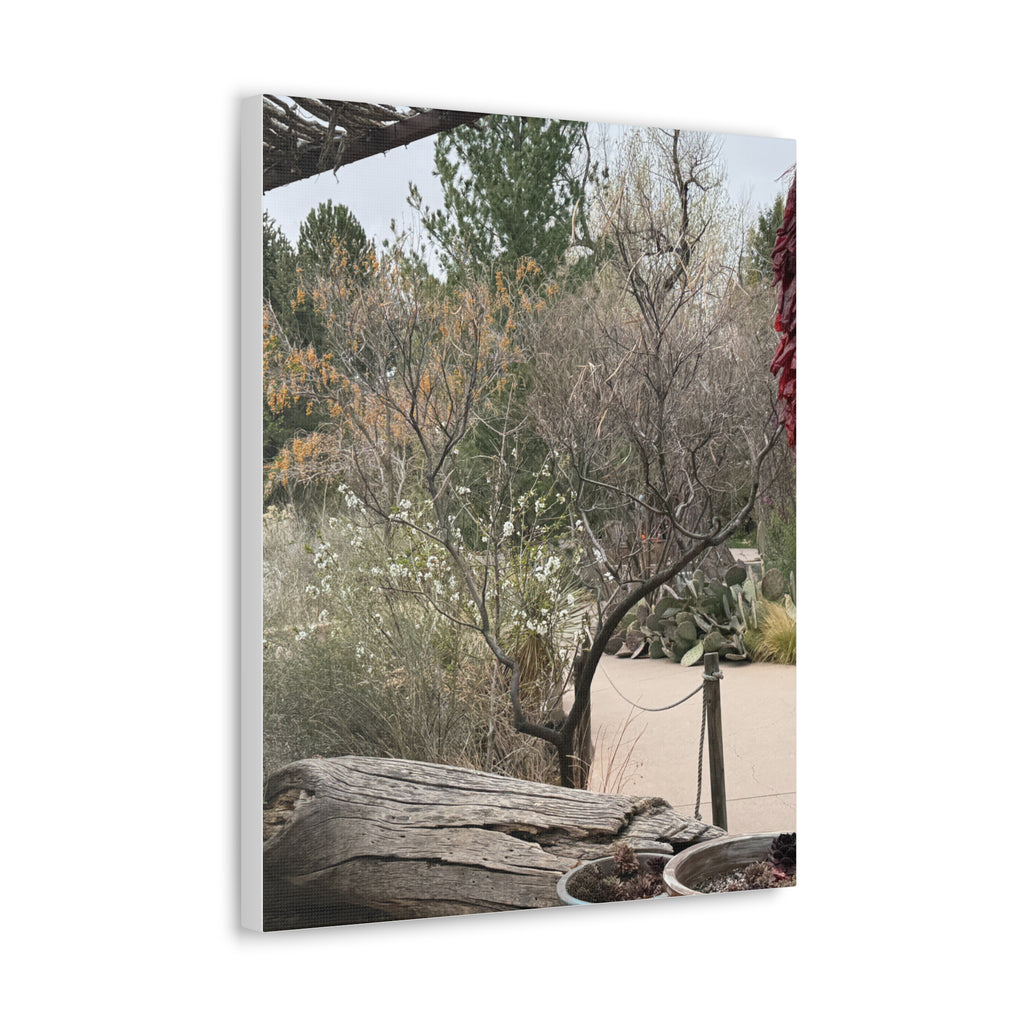 Classic Canvas Art Print, Bohemian Decor, Nature Wall Art, Home Gallery, Rustic Wall Decoration