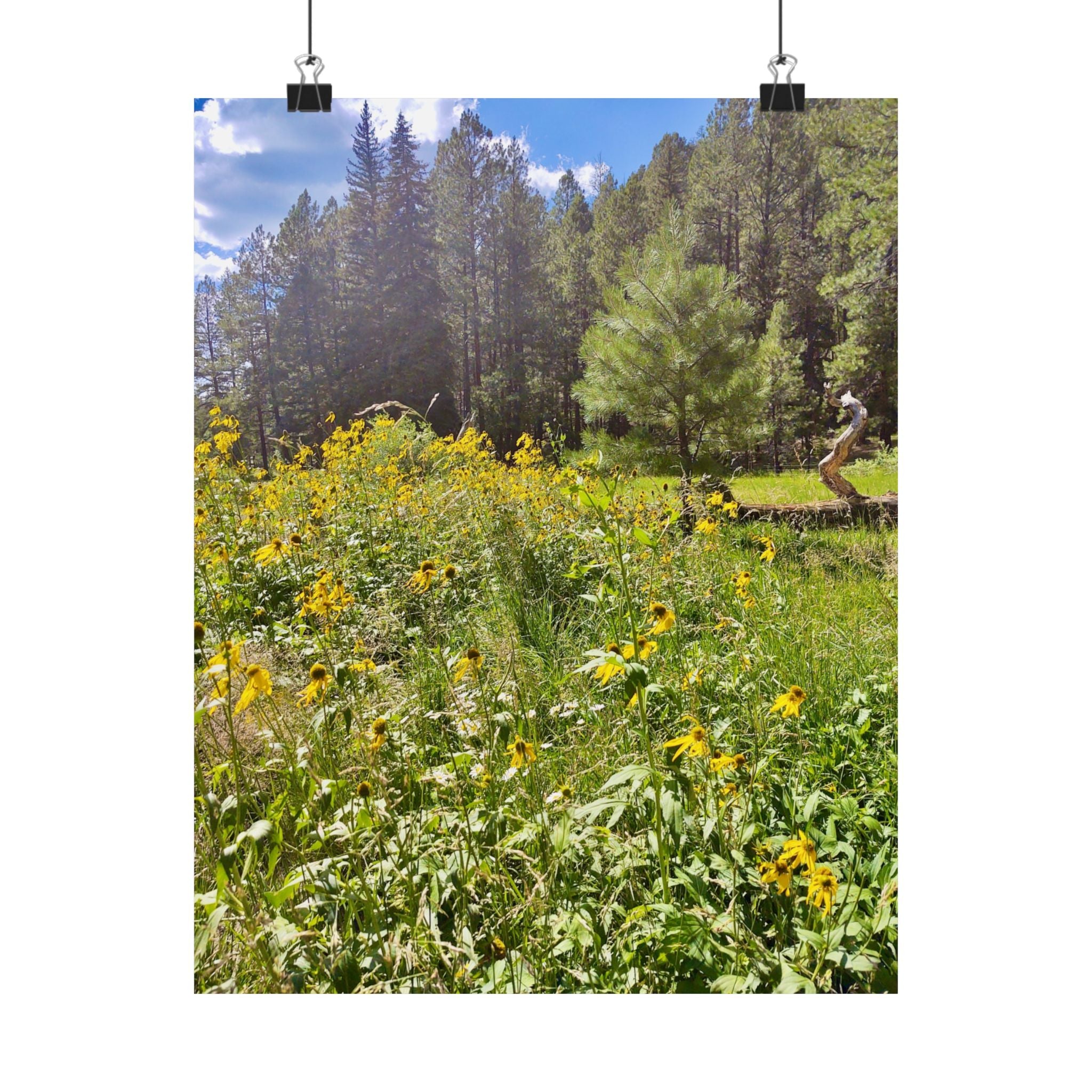 Nature-Inspired Matte Vertical Posters, Floral Wall Art, Home Decor, Gift for Nature Lovers, Botanical Print, Office Decoration