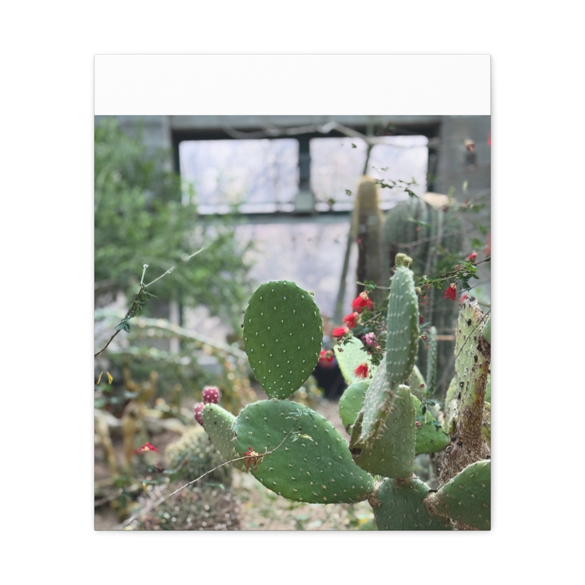 Cactus Matte Canvas Wall Art, Nature Decor, Southwestern Room Design, Green Plant Prints, Home and Office Wall Decor