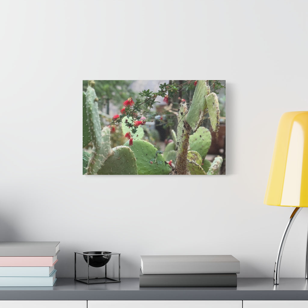 Cactus Artwork Print, Botanical Wall Decor, Succulent Canvas, Nature Lover Gift, Home Decoration