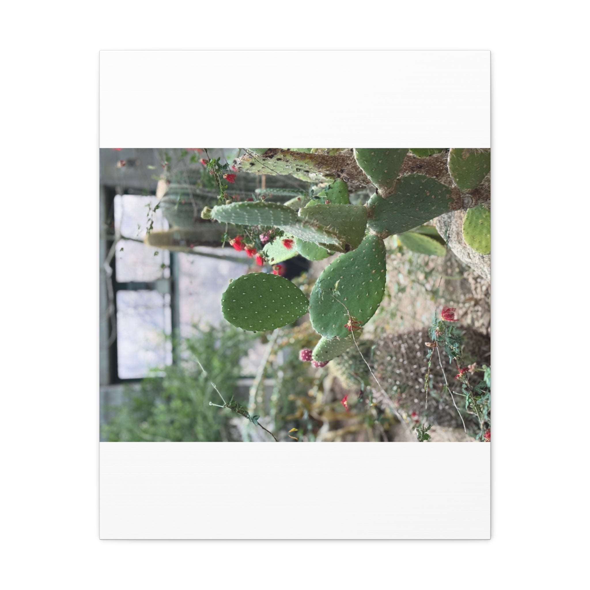 Cactus Wall Art Canvas Print, Nature Décor for Home, Office, Gift for Cactus Lovers, Unique Plant Themed Artwork, Desert Vibe Decor