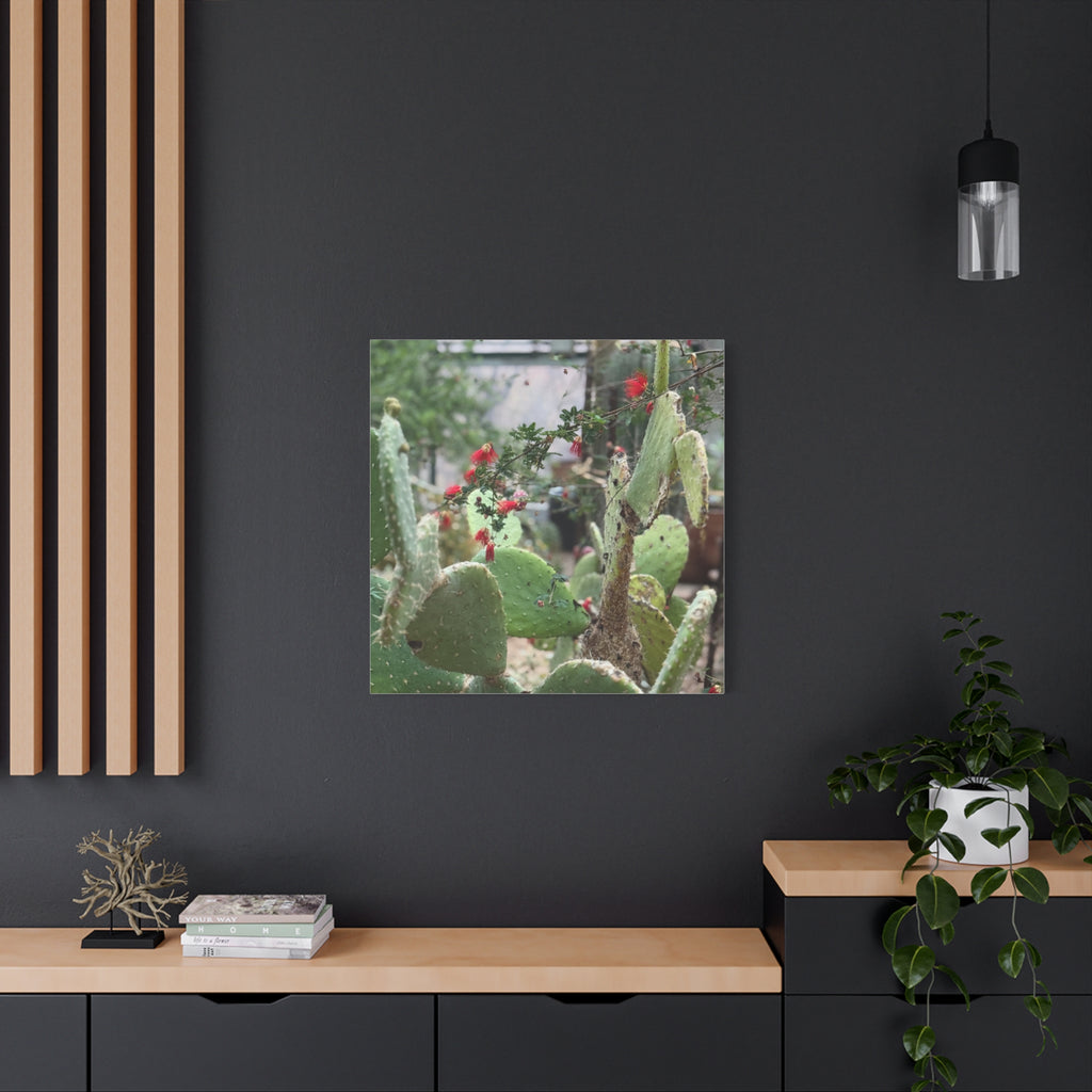 Cactus Artwork Print, Botanical Wall Decor, Succulent Canvas, Nature Lover Gift, Home Decoration