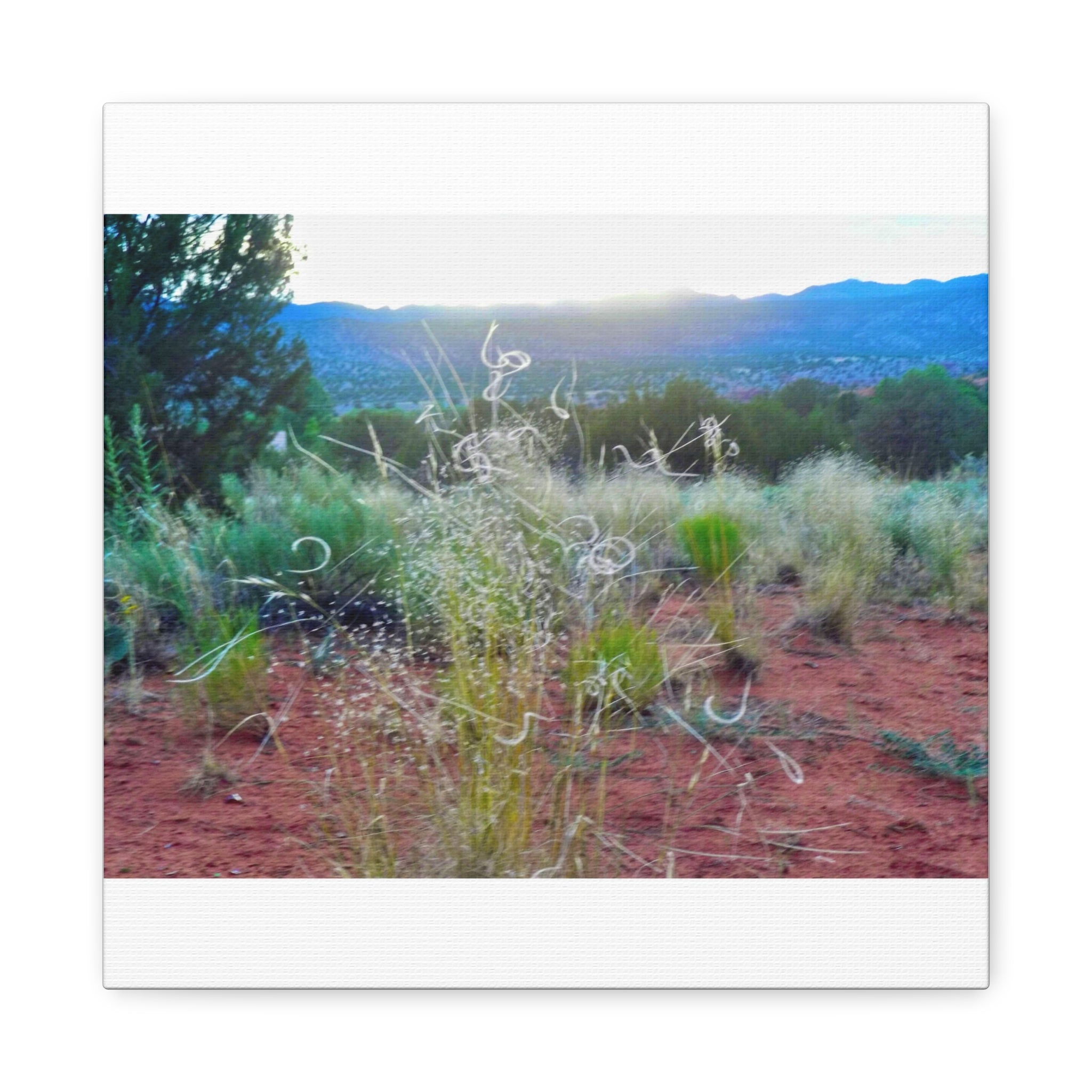 Serene Desert Landscape Canvas Print, Nature Wall Art, Home Decor, Gift for Nature Lovers, Rustic Art for Living Room, Boho Decor