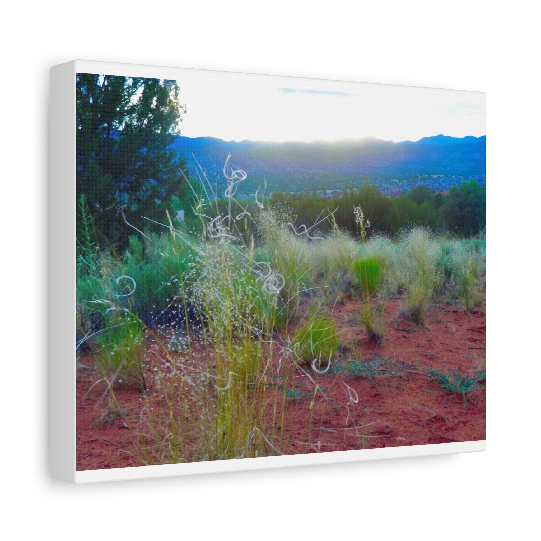 Stretched Canvas Art Print, Nature Wall Decor, Boho Home Decor, Rustic Landscape Art, Gift for Nature Lovers