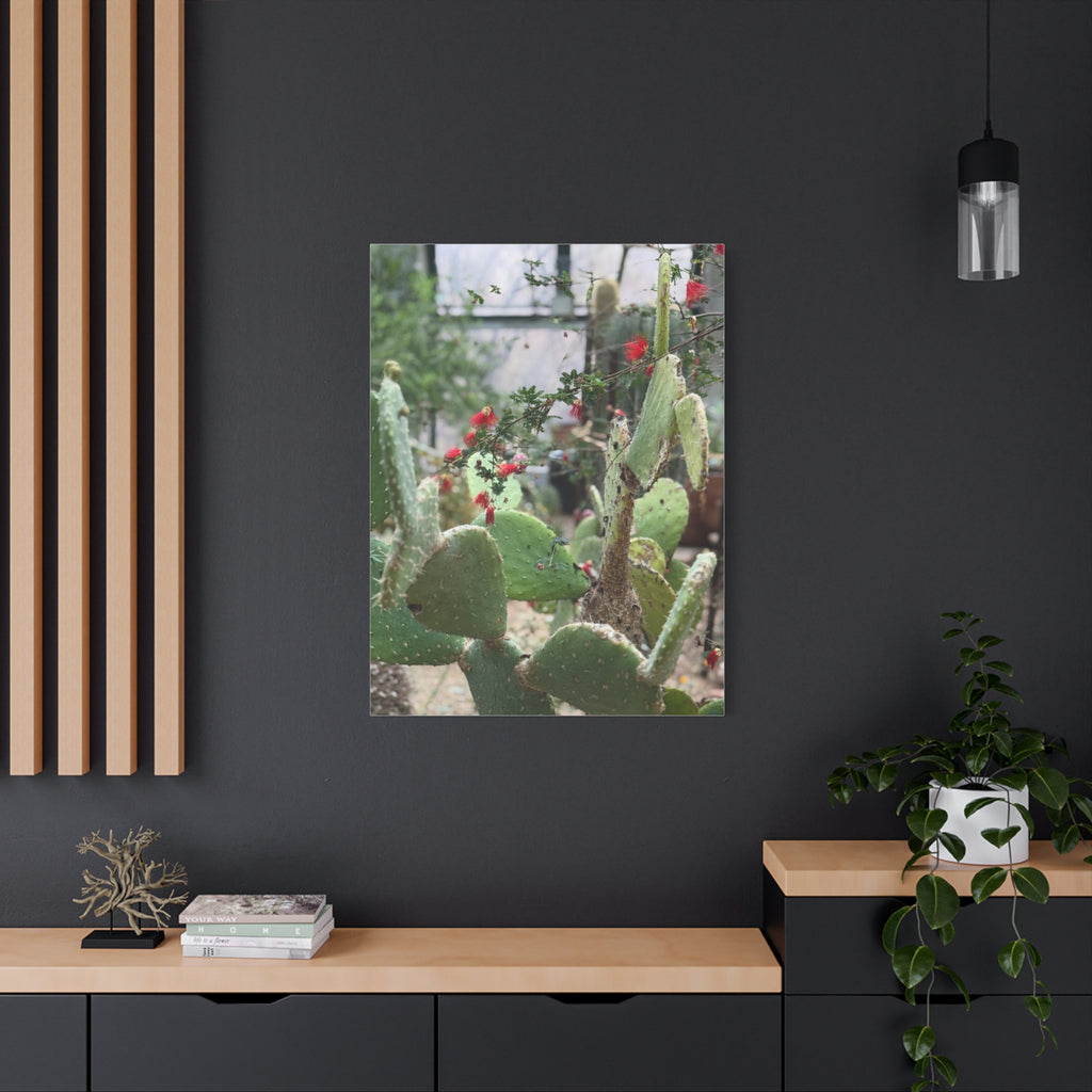 Cactus Artwork Print, Botanical Wall Decor, Succulent Canvas, Nature Lover Gift, Home Decoration