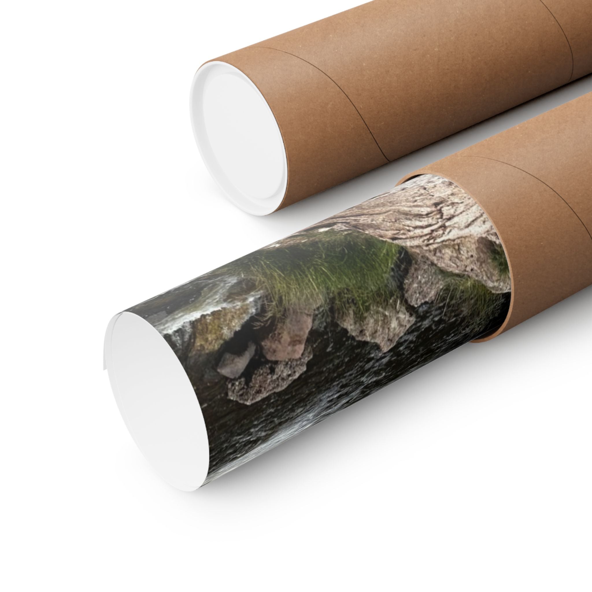 Nature-Inspired Matte Vertical Poster, Landscape Wall Art, Home Decor, Unique Gift, Rustic Vibe, Earthy Aesthetic