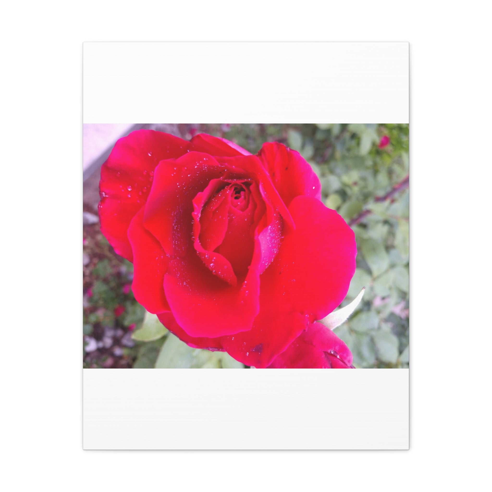 Vibrant Floral Canvas Art, Elegant Wall Decor, Perfect for Home, Gifts, Mother's Day, and Weddings