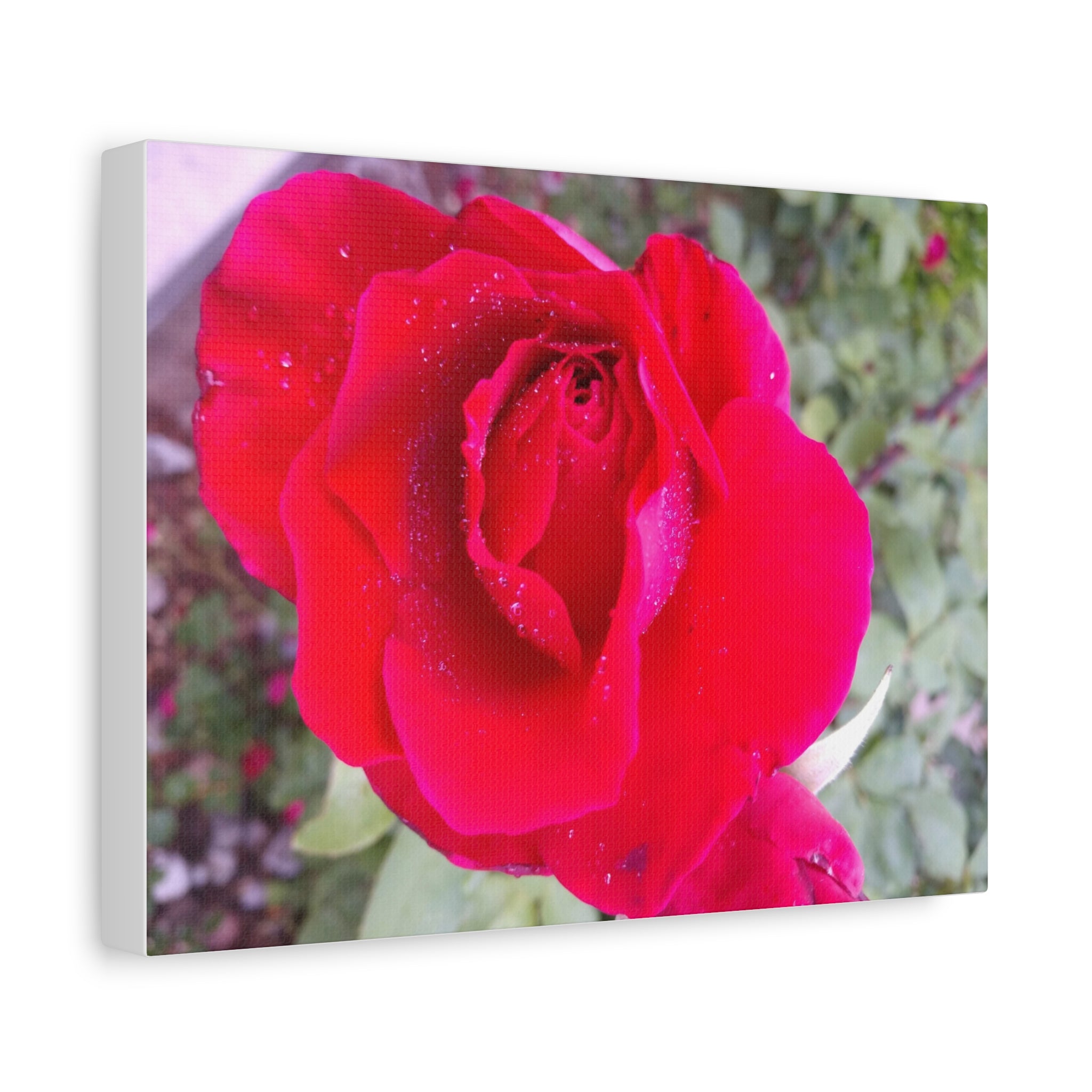 Vibrant Floral Canvas Art, Elegant Wall Decor, Perfect for Home, Gifts, Mother's Day, and Weddings