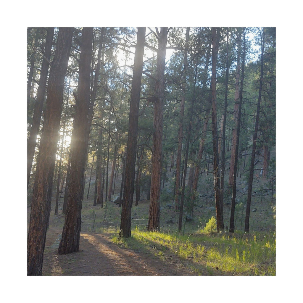 Serene Nature Matte Vertical Posters, Forest Wall Art, Home Decor, Gift Idea, Nature Lover's Decor, Inspirational Art Print