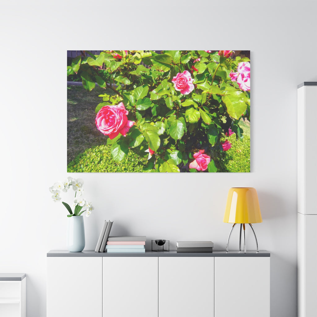 Floral Canvas Wall Art, Pink Rose Decor, Home Gallery Piece, Flower Photography, Garden Wall Decor, Floral Print