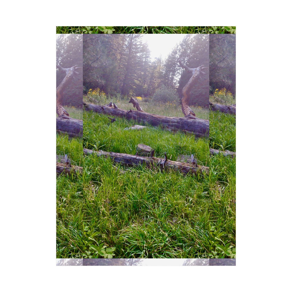 Nature-Inspired Matte Vertical Posters, Wall Art, Home Decor, Gift for Nature Lovers, Room Decoration, Eco-Friendly Art