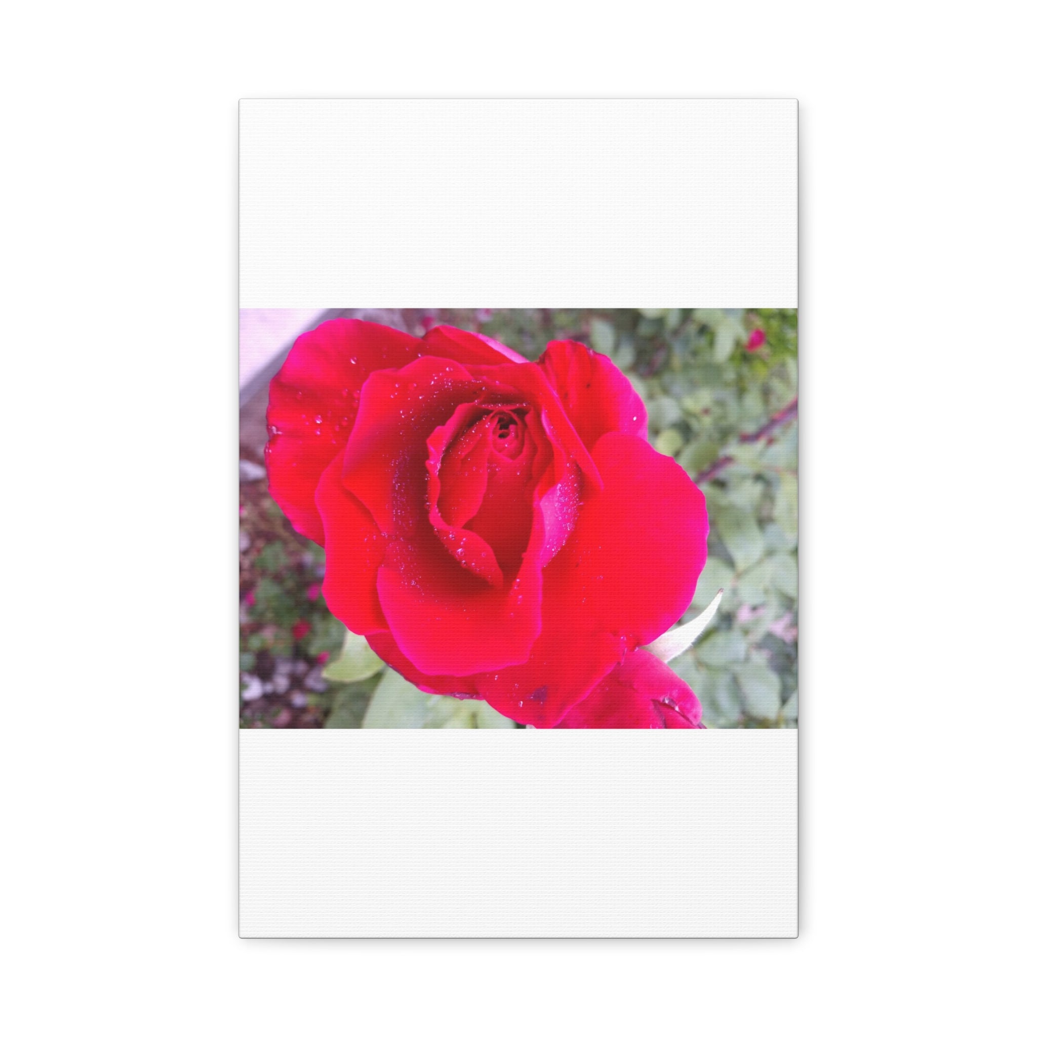 Vibrant Floral Canvas Art, Elegant Wall Decor, Perfect for Home, Gifts, Mother's Day, and Weddings