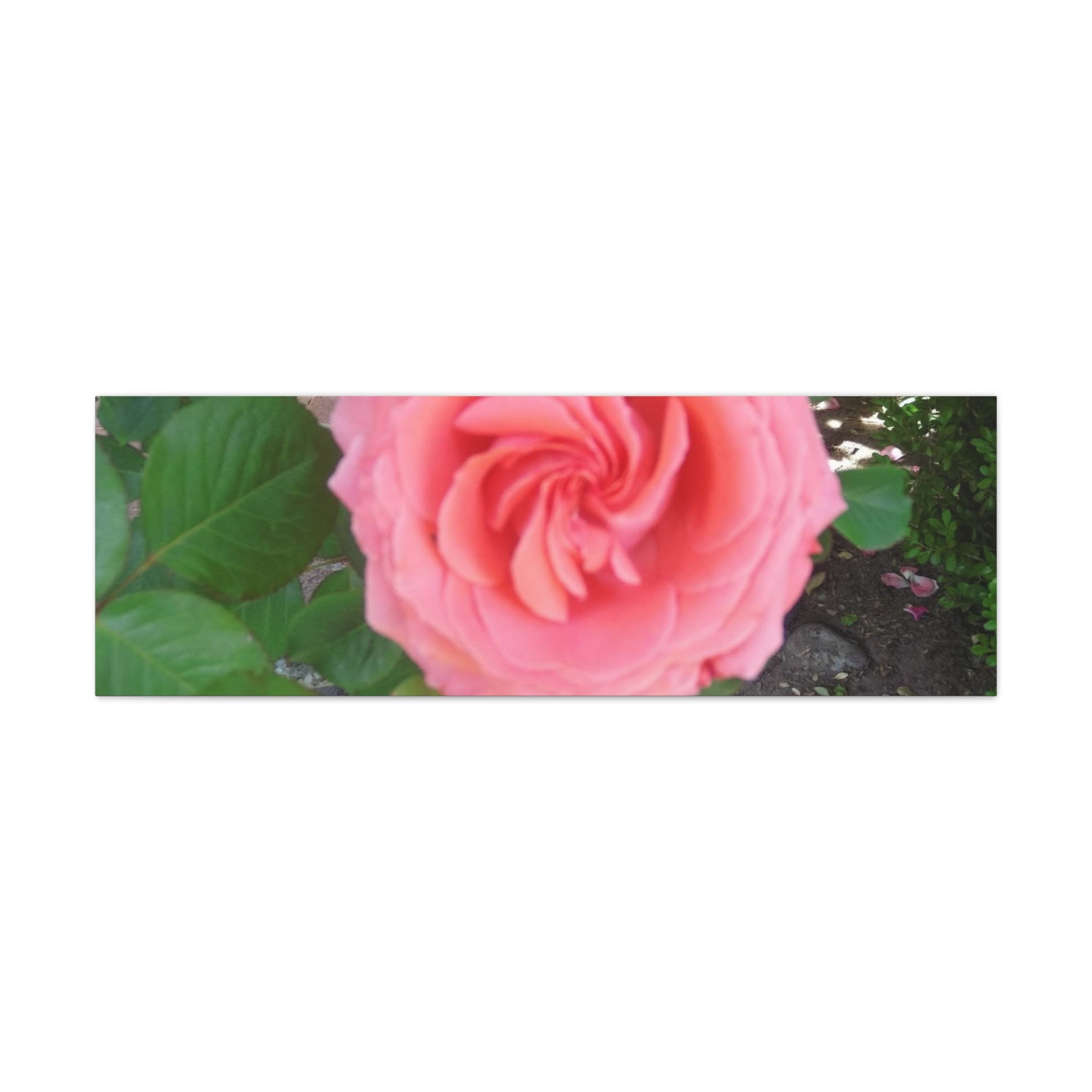 Pink Rose Canvas Wall Art, Floral Decor for Home, Perfect Gift for Nature Lovers, Elegant Wall Hanging, Mother's Day Decoration