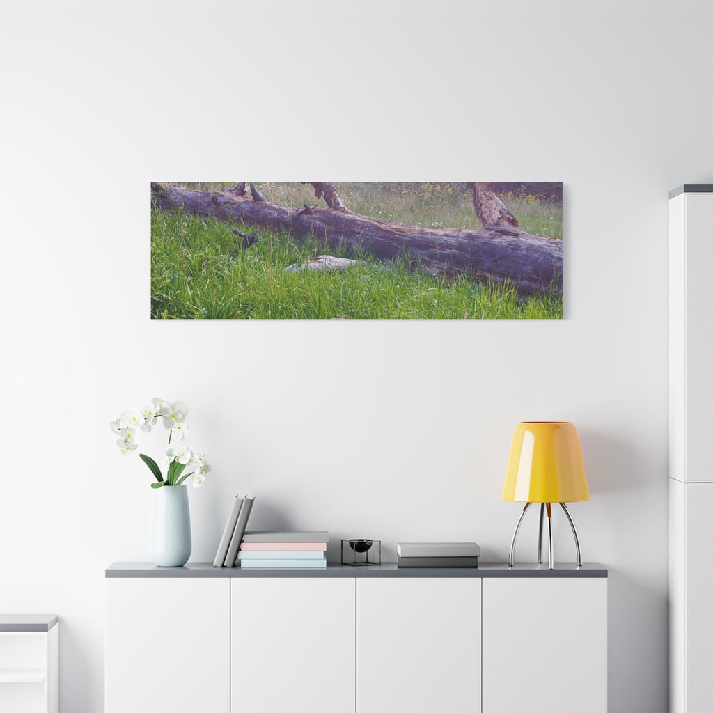 Matte Canvas Wall Art - Serene Nature Scene, Perfect for Home Decor, Gift for Nature Lovers, Office Wall Decoration, Rustic Art Print