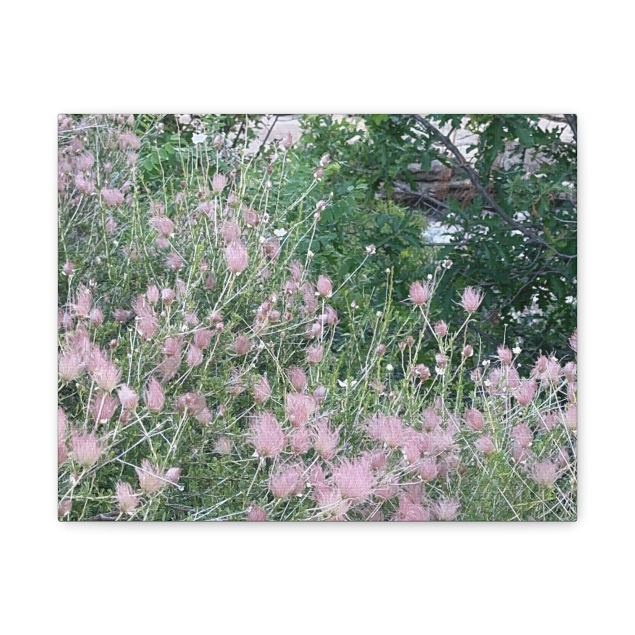 Floral Wall Art Canvas, Home Decor, Nature Lover Gift, Botanical Print, Spring Decor, Mother’s Day