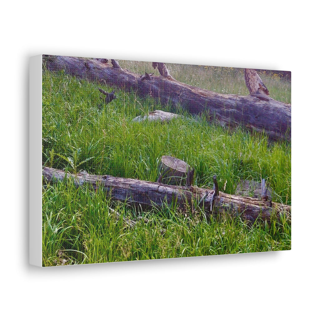 Classic Canvas Wall Art - Nature Decor, Outdoor Wall Hanging, Home Aesthetic, Gift for Nature Lovers, Rustic Cabin Decor