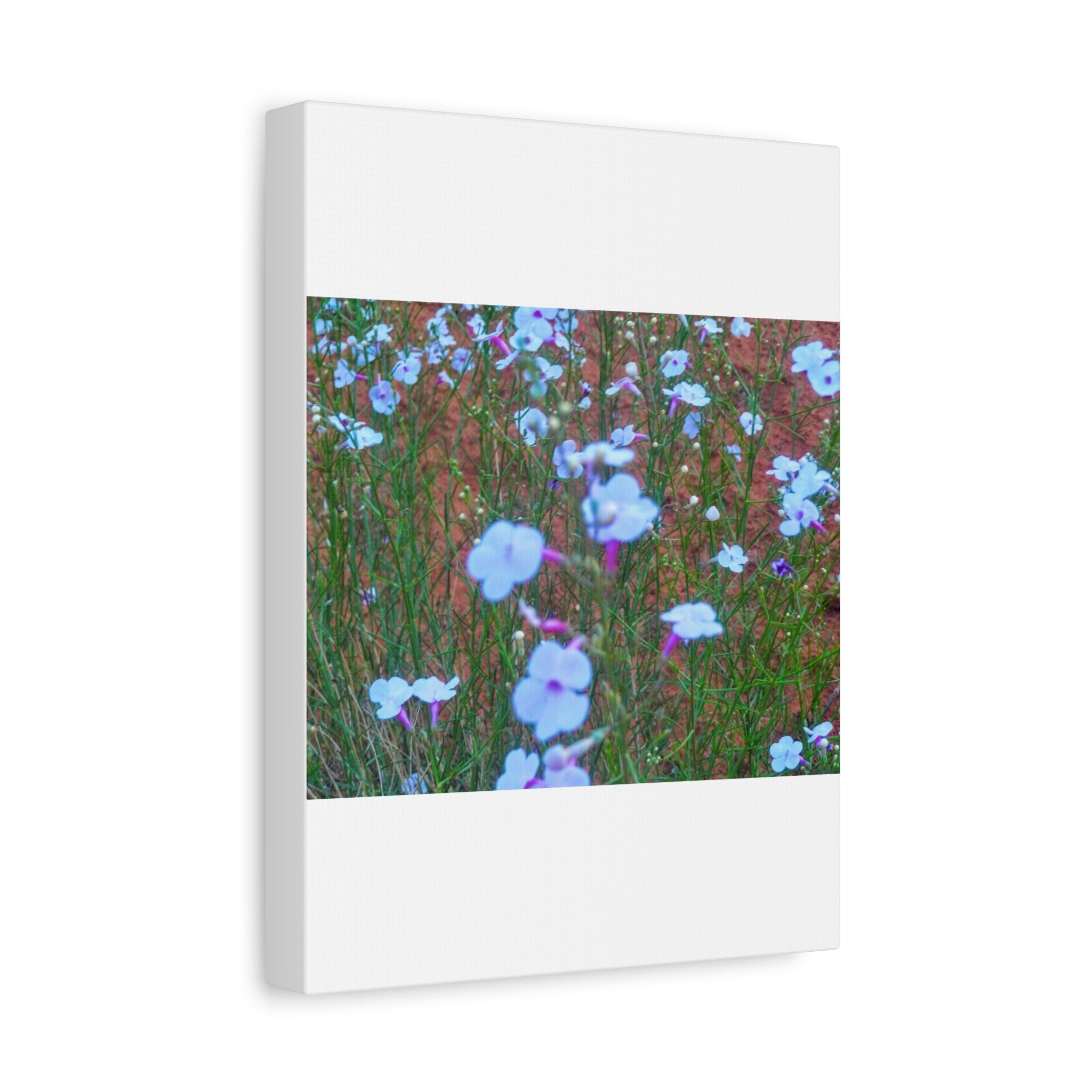 Floral Canvas Wall Art, Home Decor, Wall Hanging, Gift Idea, Nature Art, Flower Print