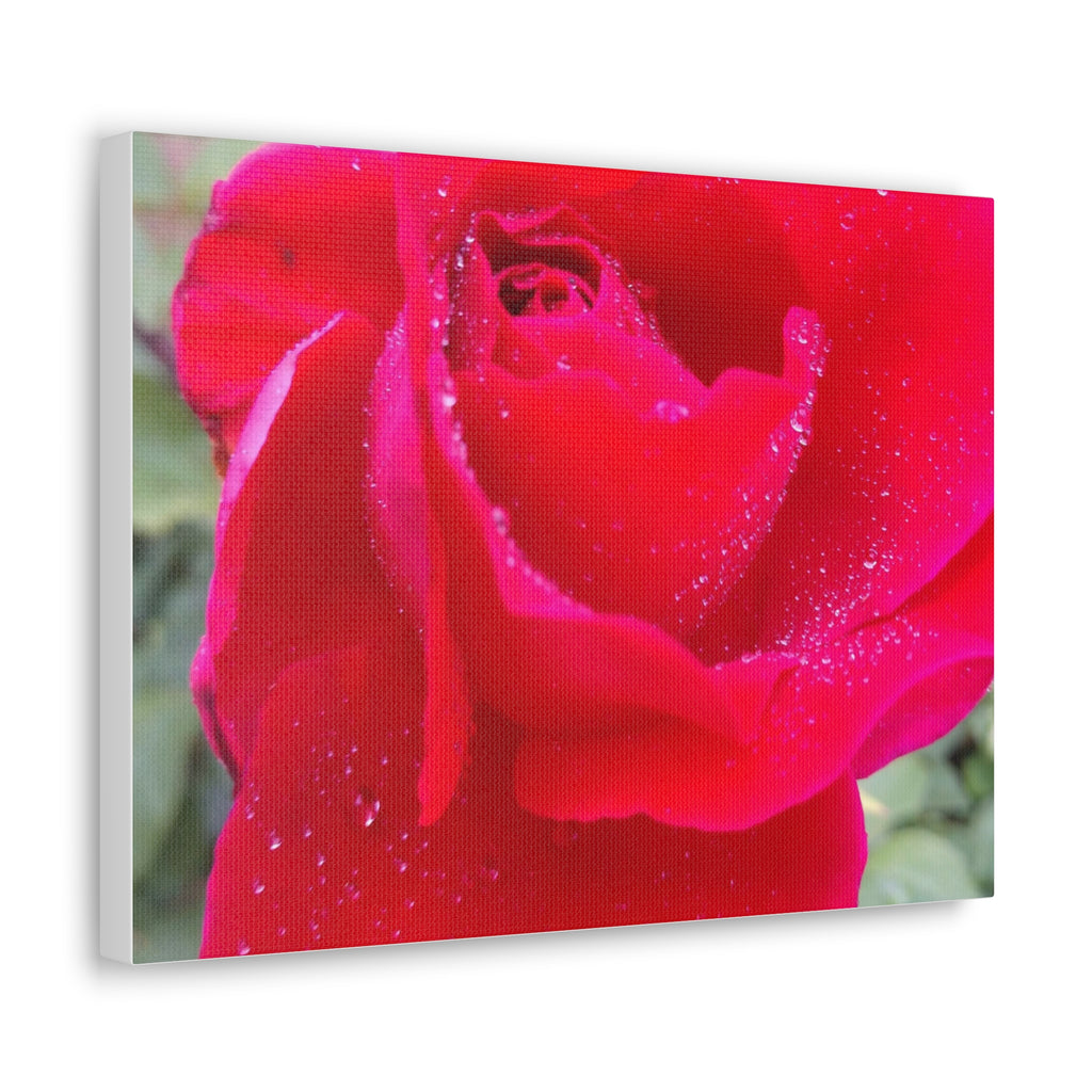 Stunning Floral Canvas Print, Home Decor, Wall Art, Gift for Flower Lovers, Red Rose Art, Mother's Day Gift