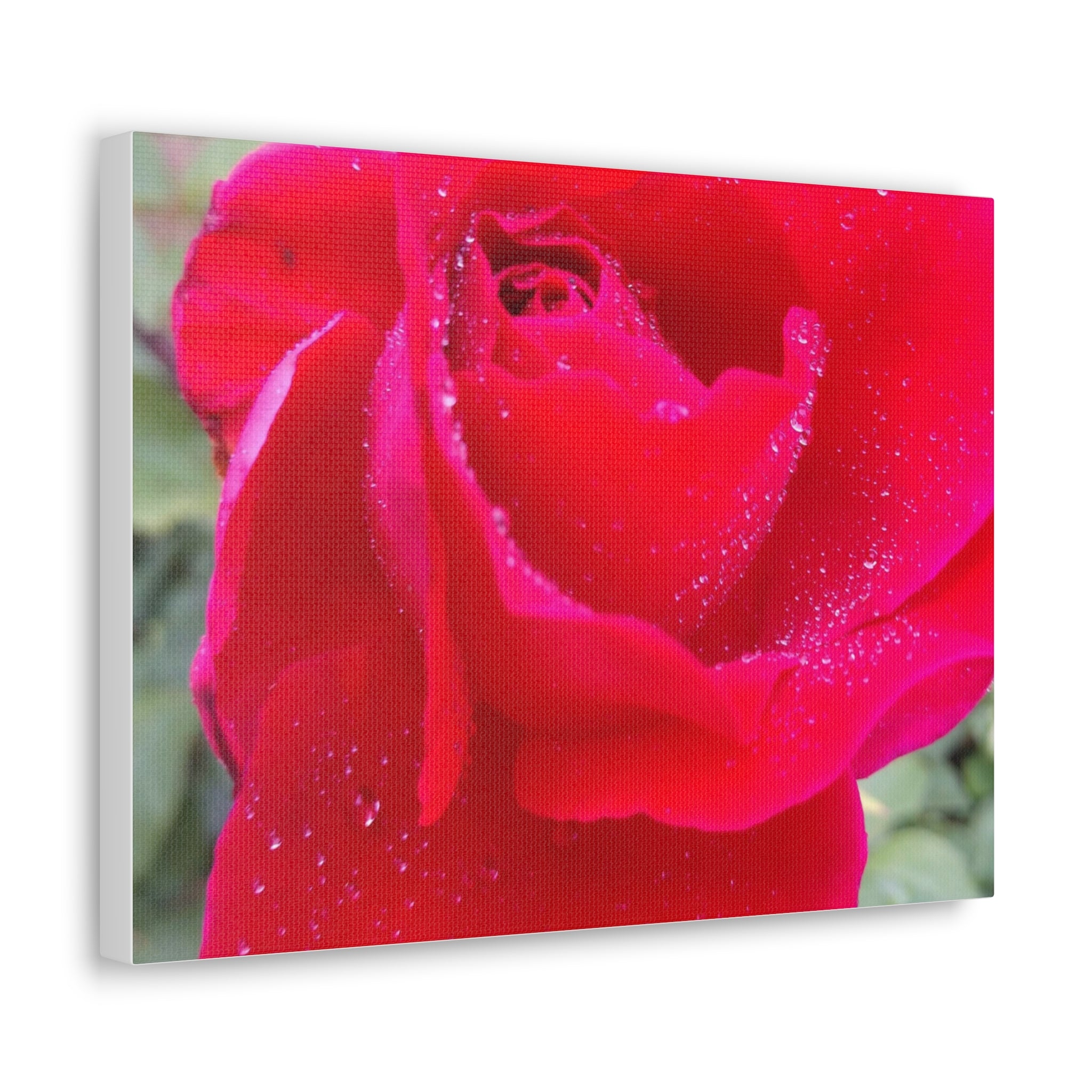 Stunning Floral Canvas Print, Home Decor, Wall Art, Gift for Flower Lovers, Red Rose Art, Mother's Day Gift