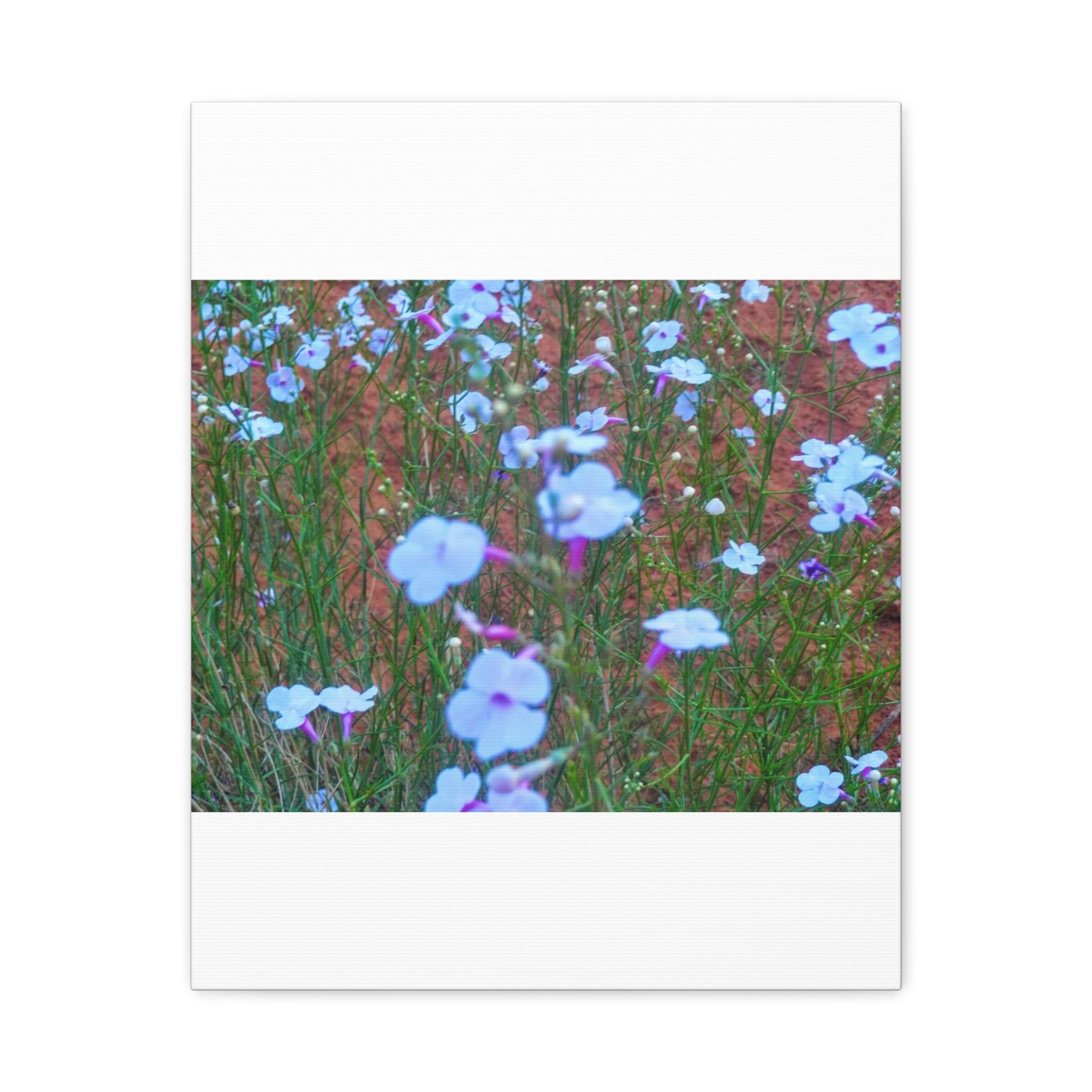 Floral Canvas Wall Art, Home Decor, Wall Hanging, Gift Idea, Nature Art, Flower Print