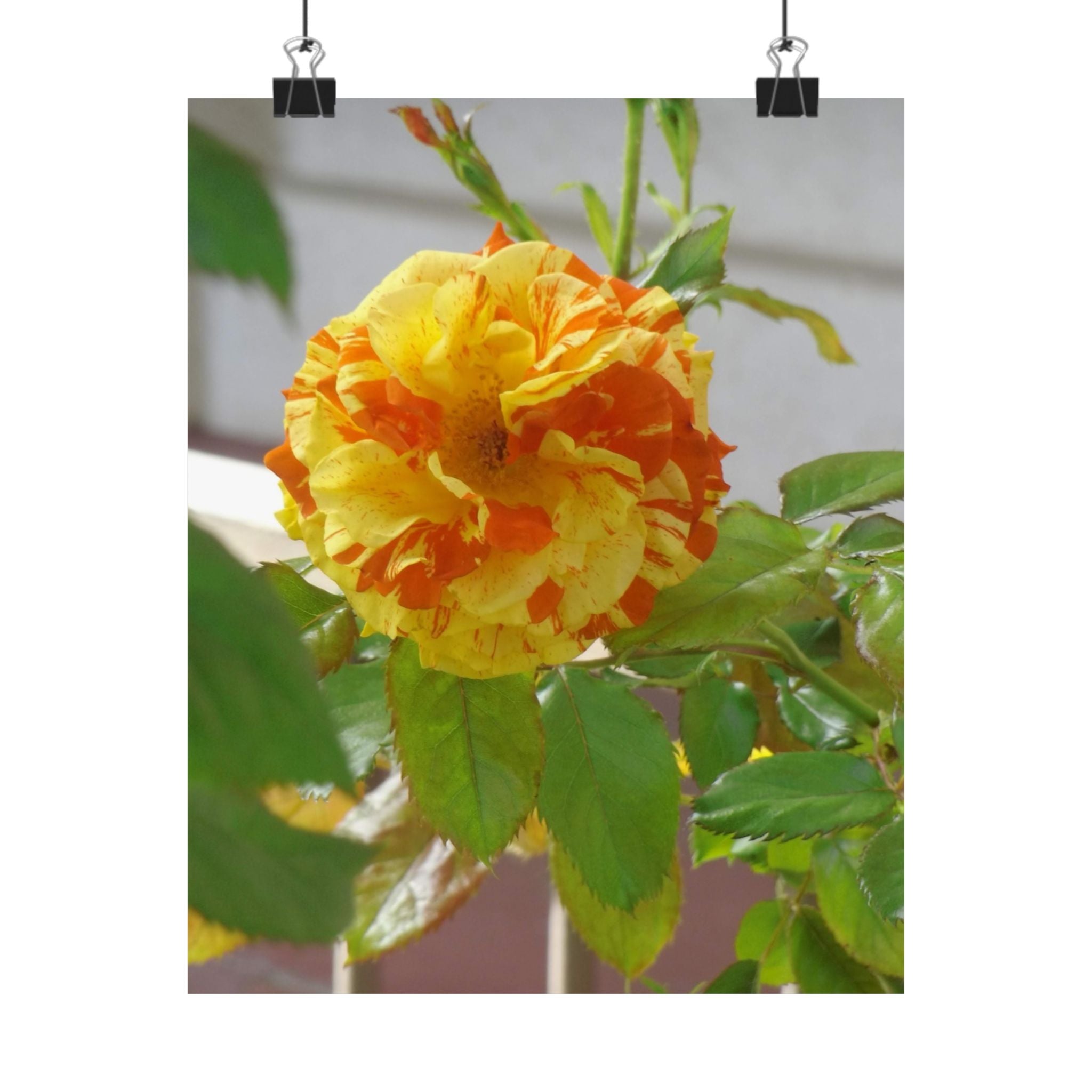 Vibrant Floral Wall Art, Matte Vertical Posters, Home Decor, Flower Illustration, Gift for Nature Lovers, Modern Art Prints, Colorful [...]