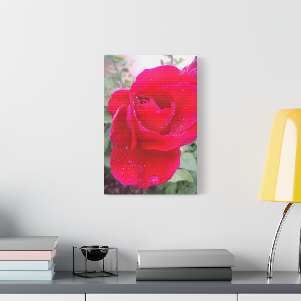 Stunning Floral Canvas Print, Home Decor, Wall Art, Gift for Flower Lovers, Red Rose Art, Mother's Day Gift
