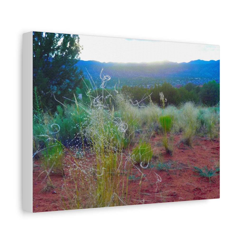 Stretched Canvas Art Print, Nature Wall Decor, Boho Home Decor, Rustic Landscape Art, Gift for Nature Lovers