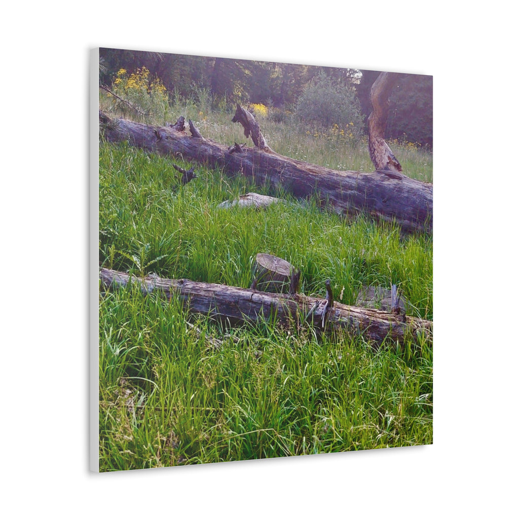 Classic Canvas Wall Art - Nature Decor, Outdoor Wall Hanging, Home Aesthetic, Gift for Nature Lovers, Rustic Cabin Decor