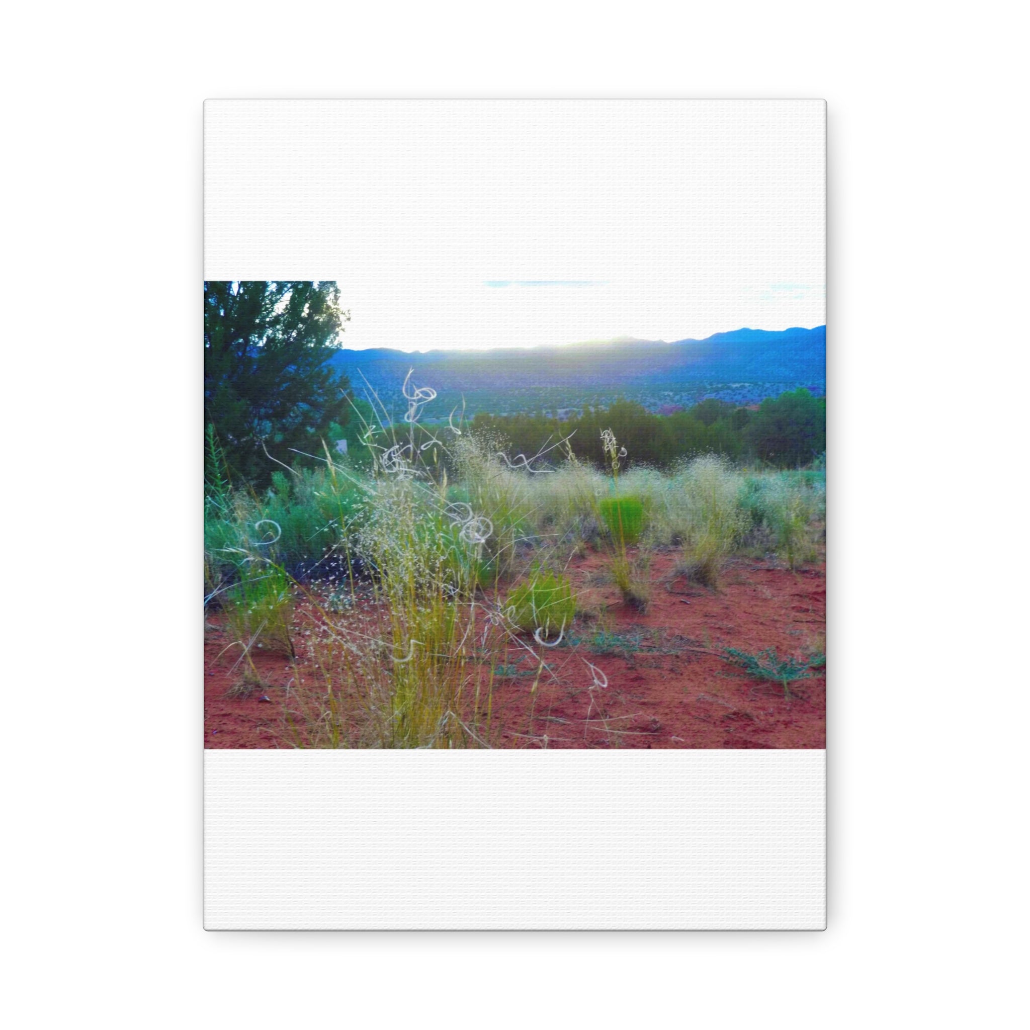 Stretched Canvas Art Print, Nature Wall Decor, Boho Home Decor, Rustic Landscape Art, Gift for Nature Lovers