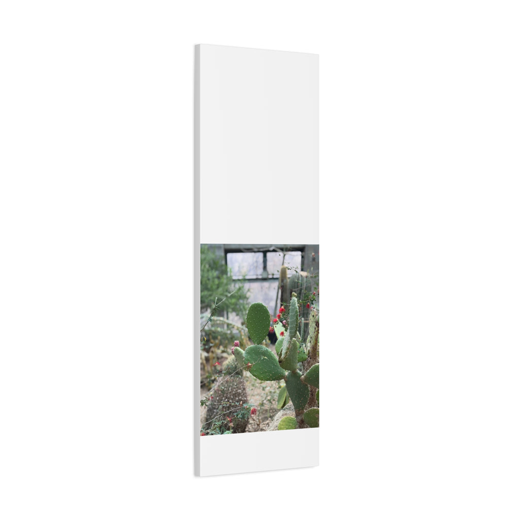 Cactus Matte Canvas Wall Art, Nature Decor, Southwestern Room Design, Green Plant Prints, Home and Office Wall Decor