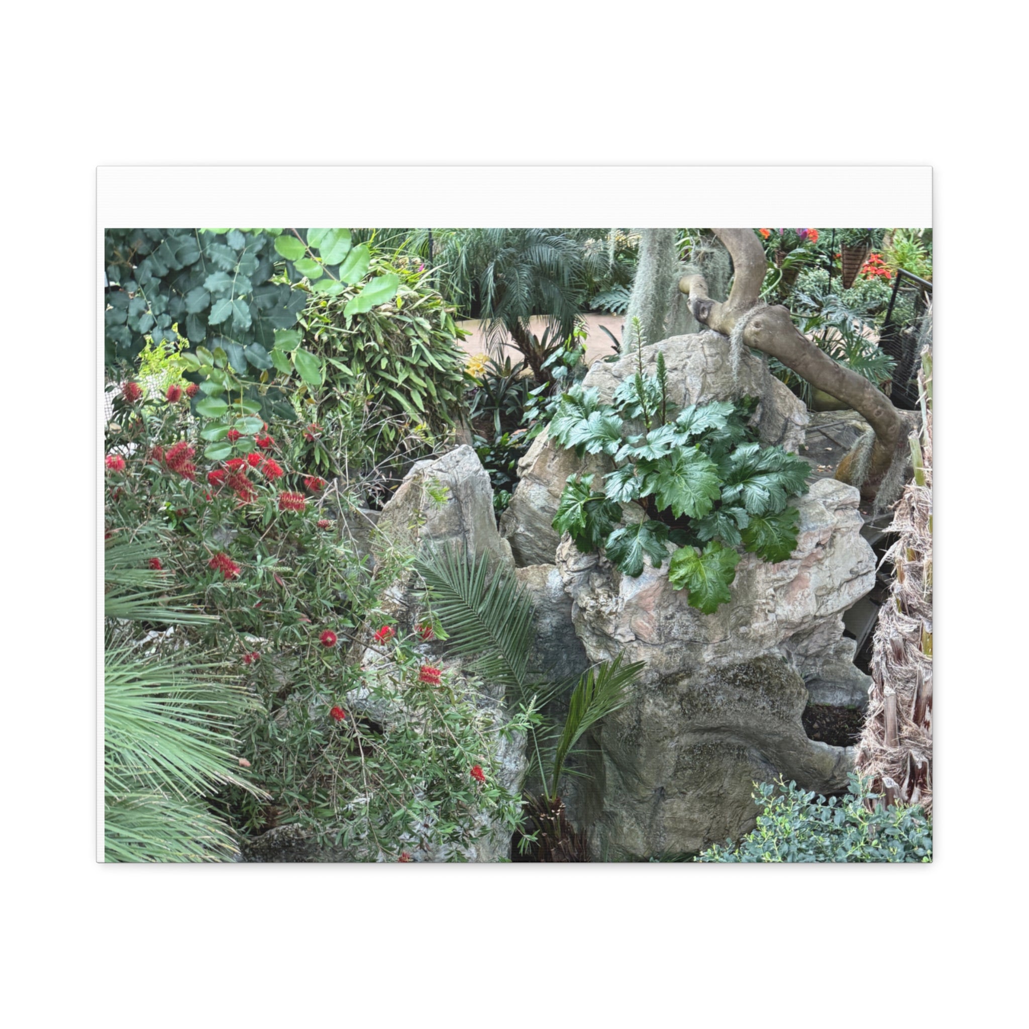 Nature-Inspired Wall Art, Canvas Print, Botanical Decor for Home, Greenery Art, Gift for Nature Lovers, Eco-Friendly Decoration