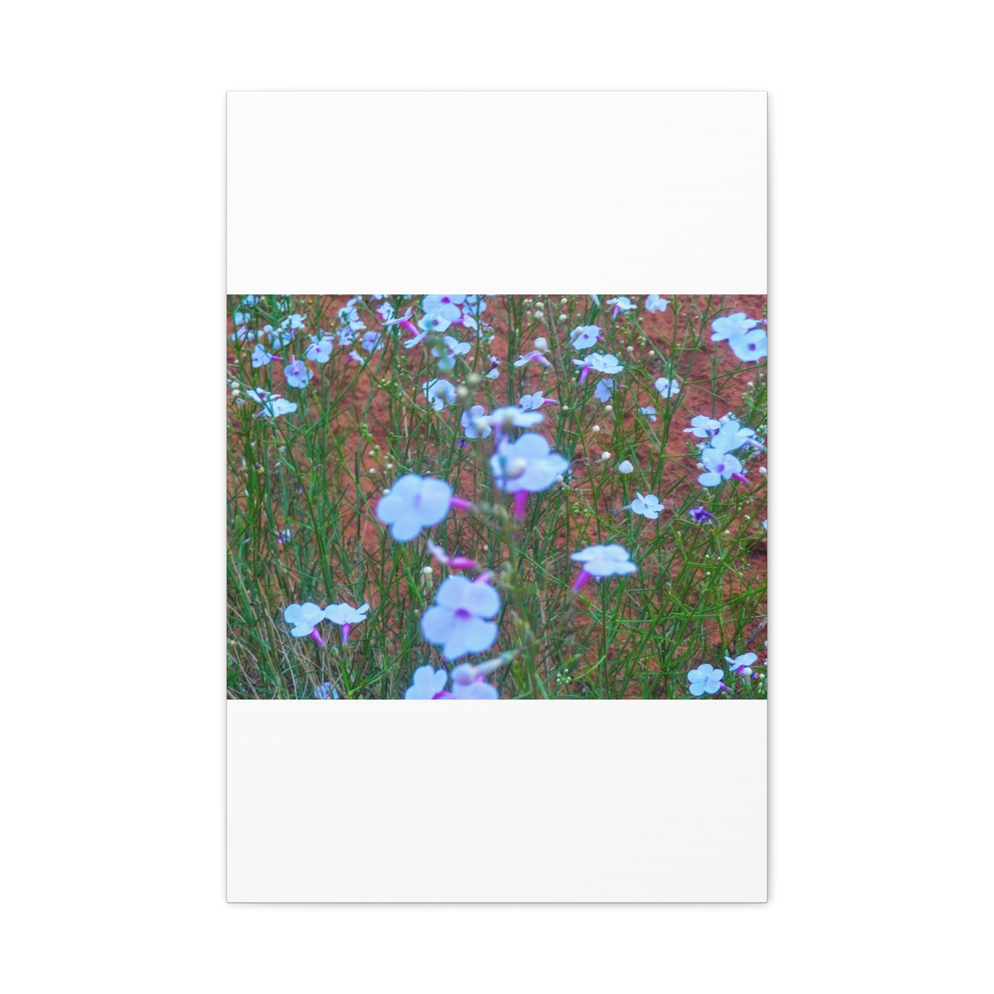 Floral Canvas Wall Art, Home Decor, Wall Hanging, Gift Idea, Nature Art, Flower Print