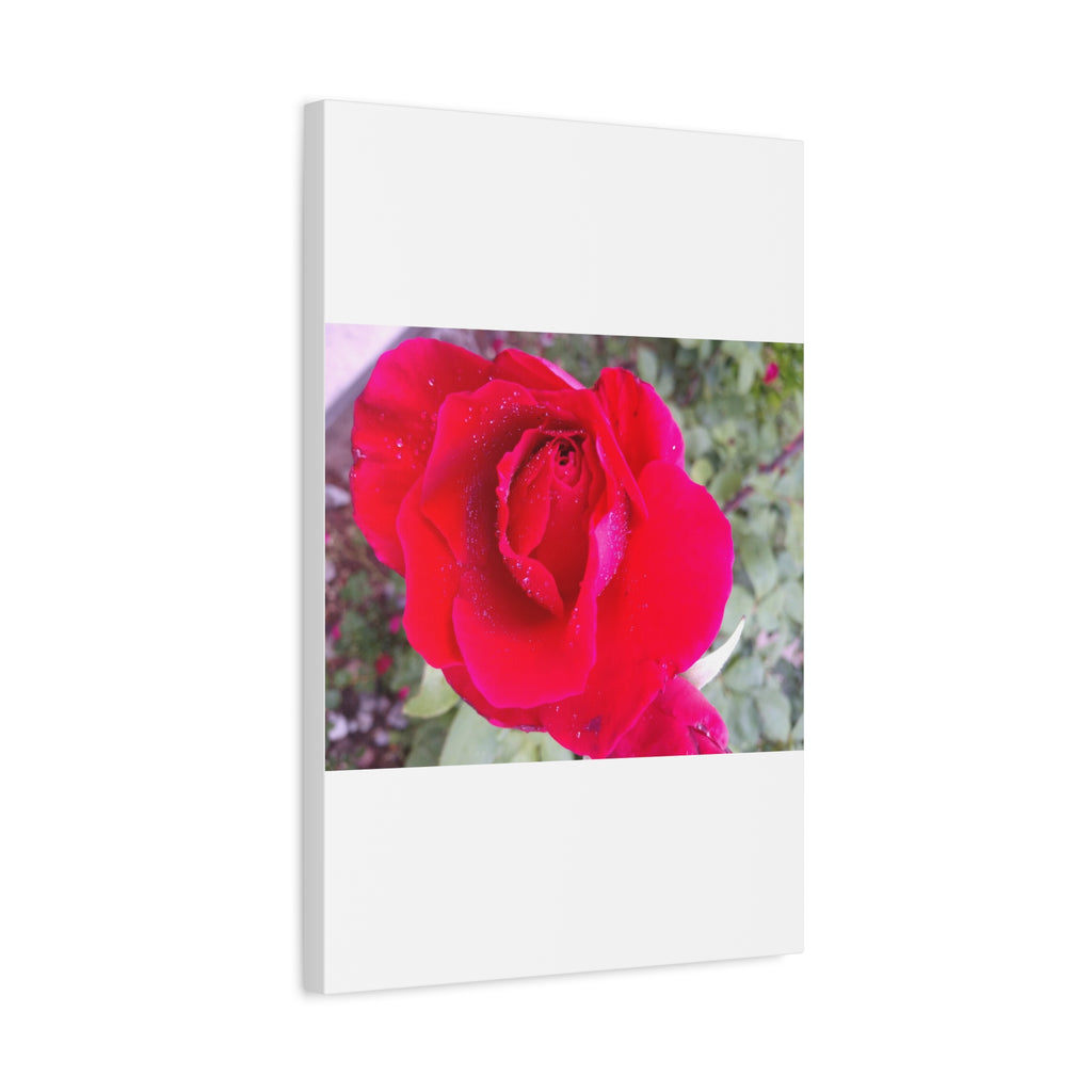 Vibrant Floral Canvas Art, Elegant Wall Decor, Perfect for Home, Gifts, Mother's Day, and Weddings