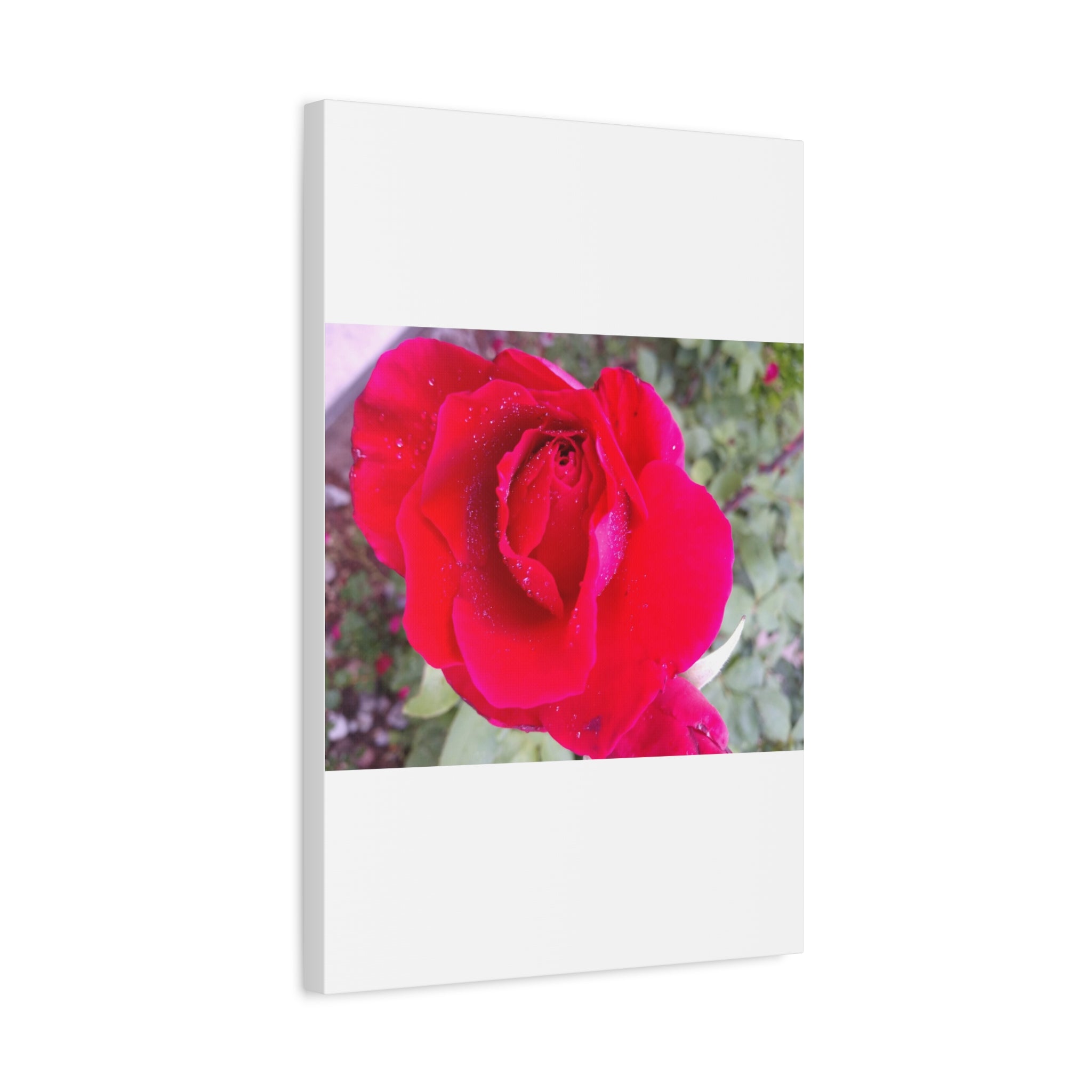 Vibrant Floral Canvas Art, Elegant Wall Decor, Perfect for Home, Gifts, Mother's Day, and Weddings